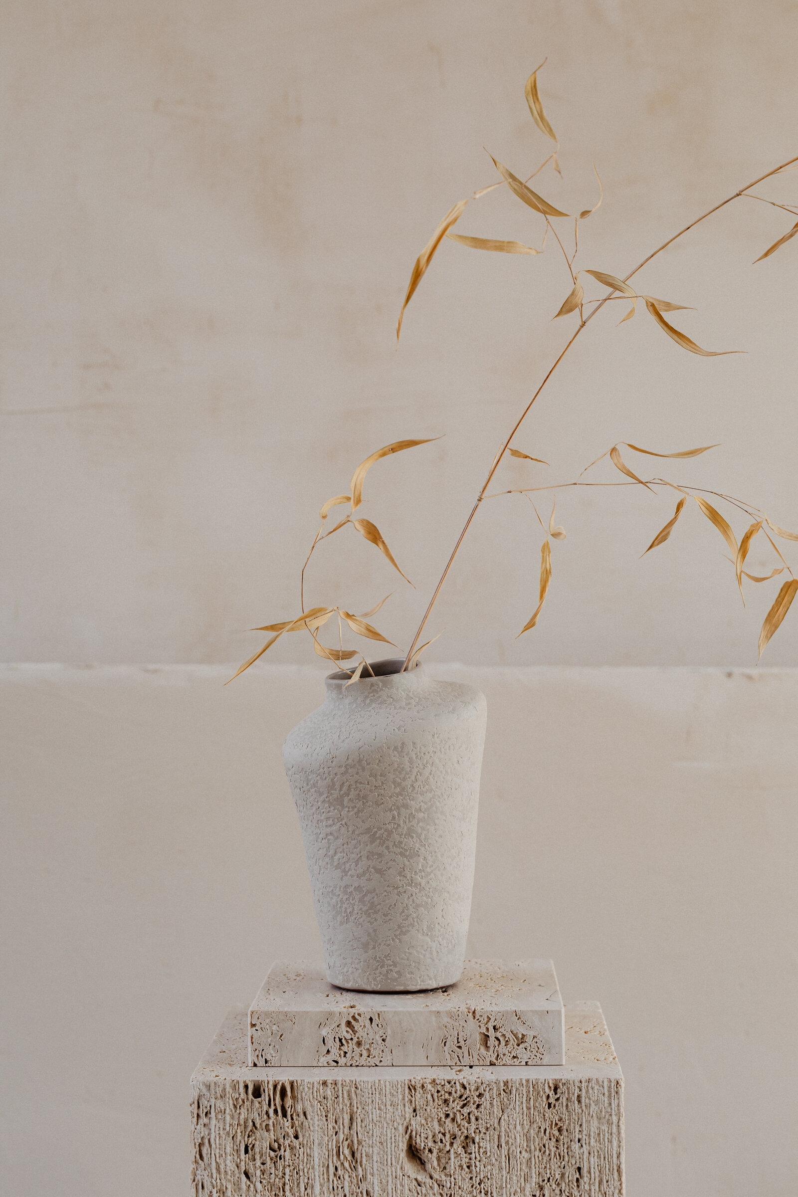 kaboompics_textured-harmony-natural-forms-and-shadows-in-still-life-decor-35233