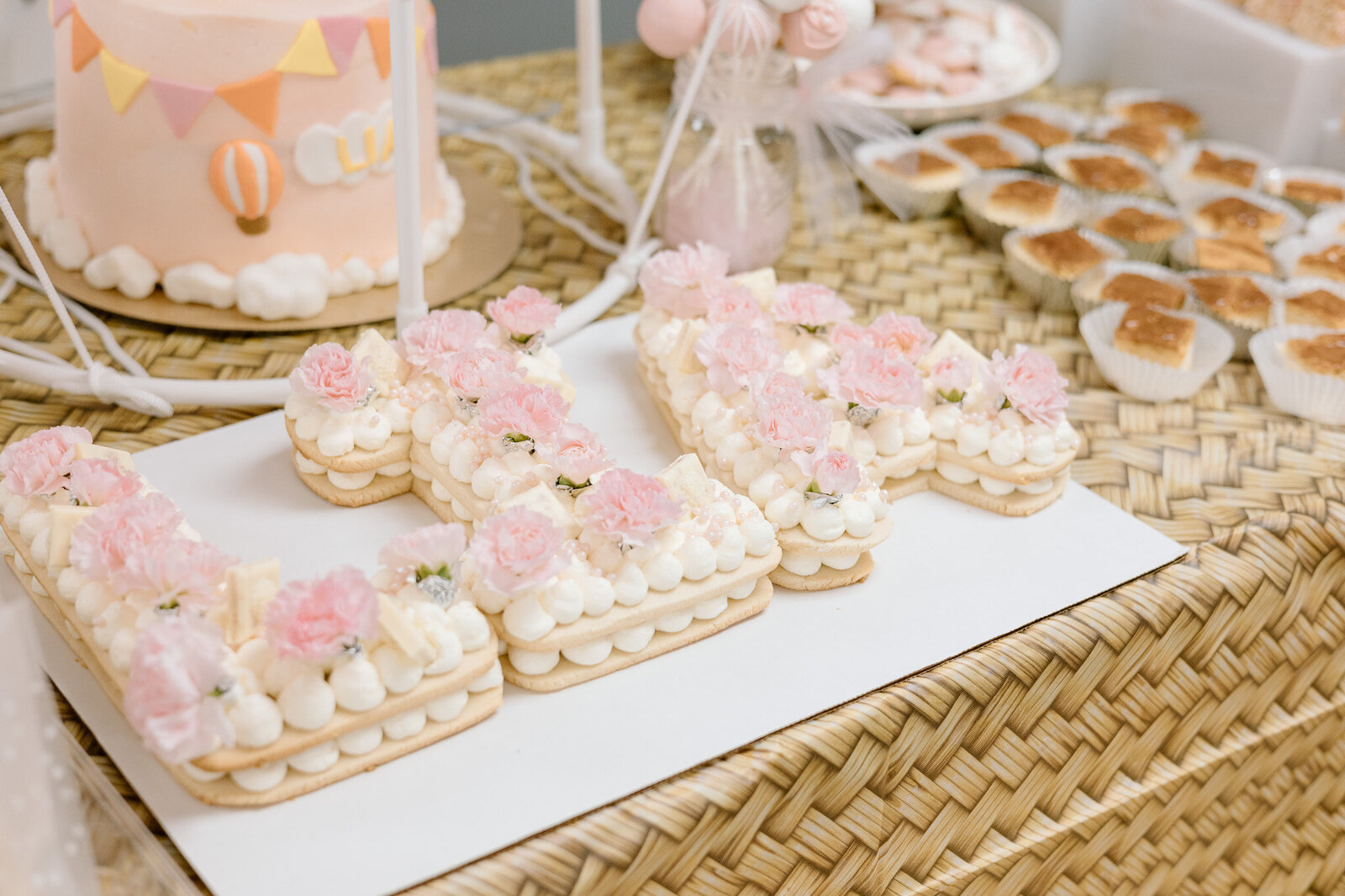 baby-girl-shower-photographs-fort-mill-sc (2)