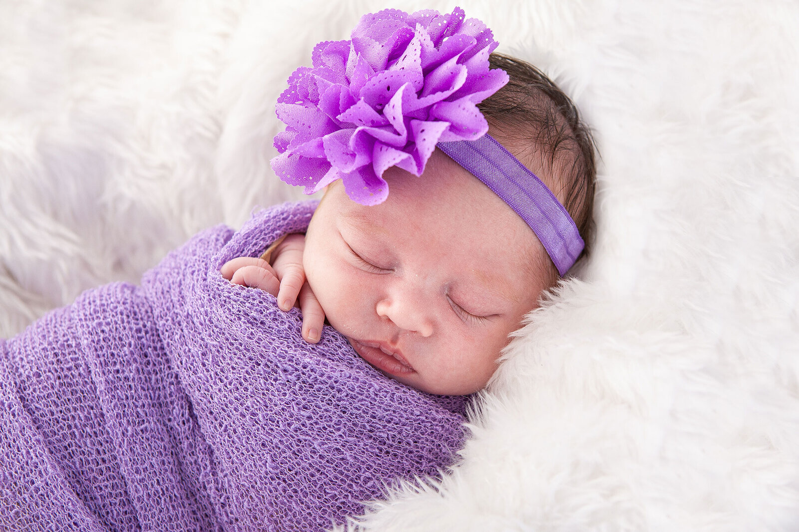 accent-photography-newborn-family-parents-photos-tuakau-pukekohe_006