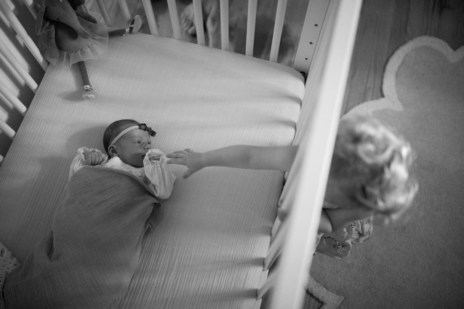 RL_08_11_2024_HUBER-FAMILY_00555