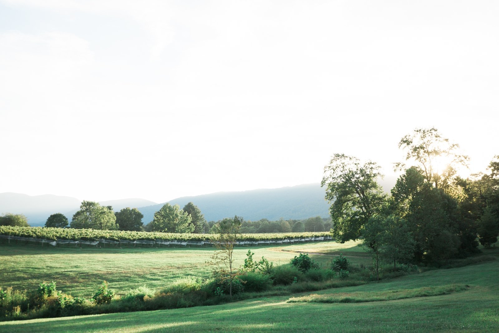 i-charlottesville-winery-wedding_1783