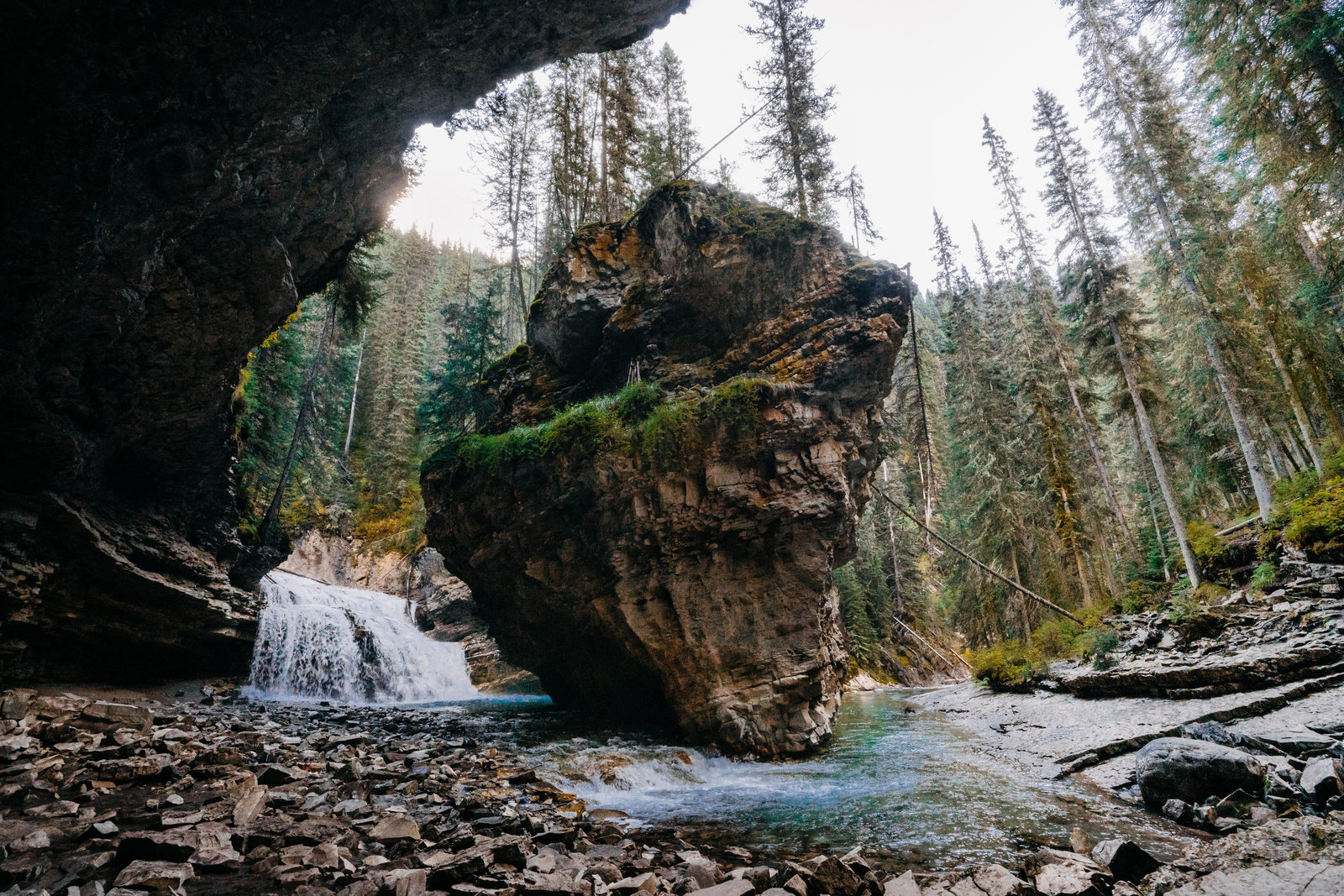 Banff_Jasper_National_Park_Sasha_Reiko_Photography-5