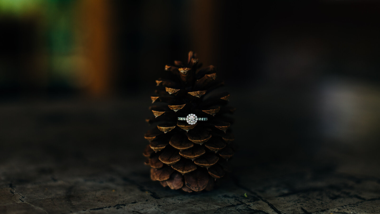 Van Pelt Wedding-23