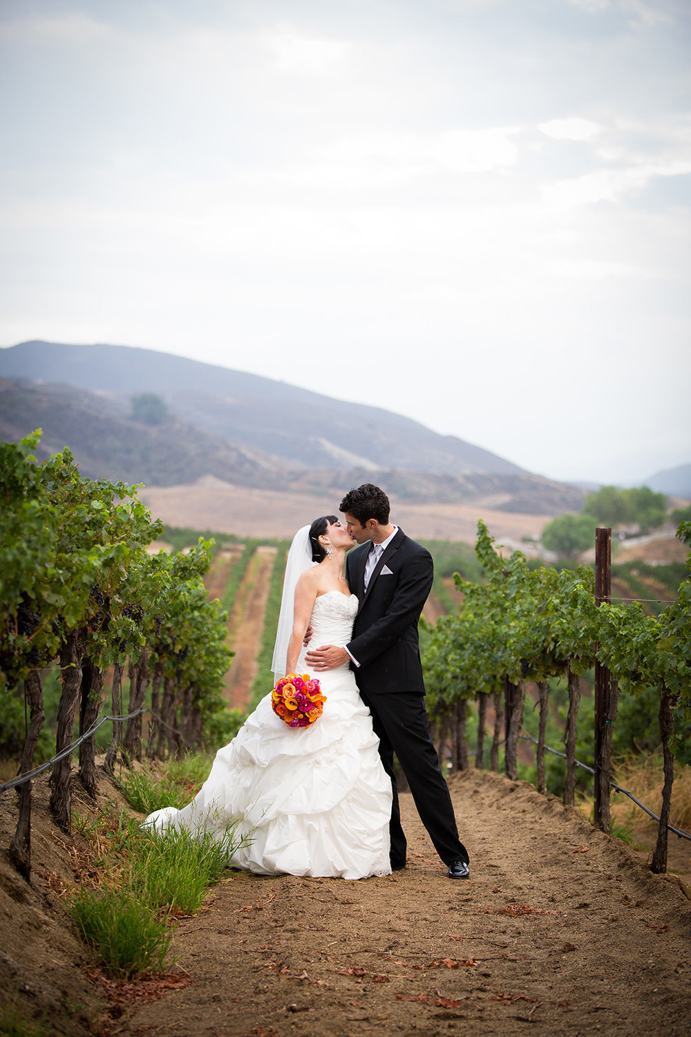 bride and groom in vineyard at leoness cellars