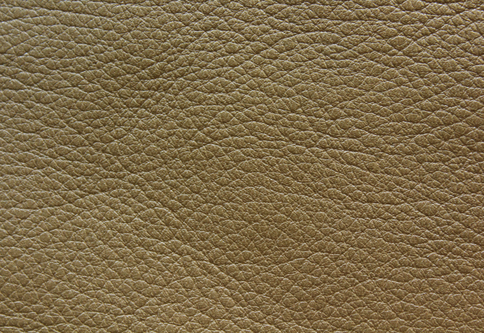 Noveaux Camel Leather