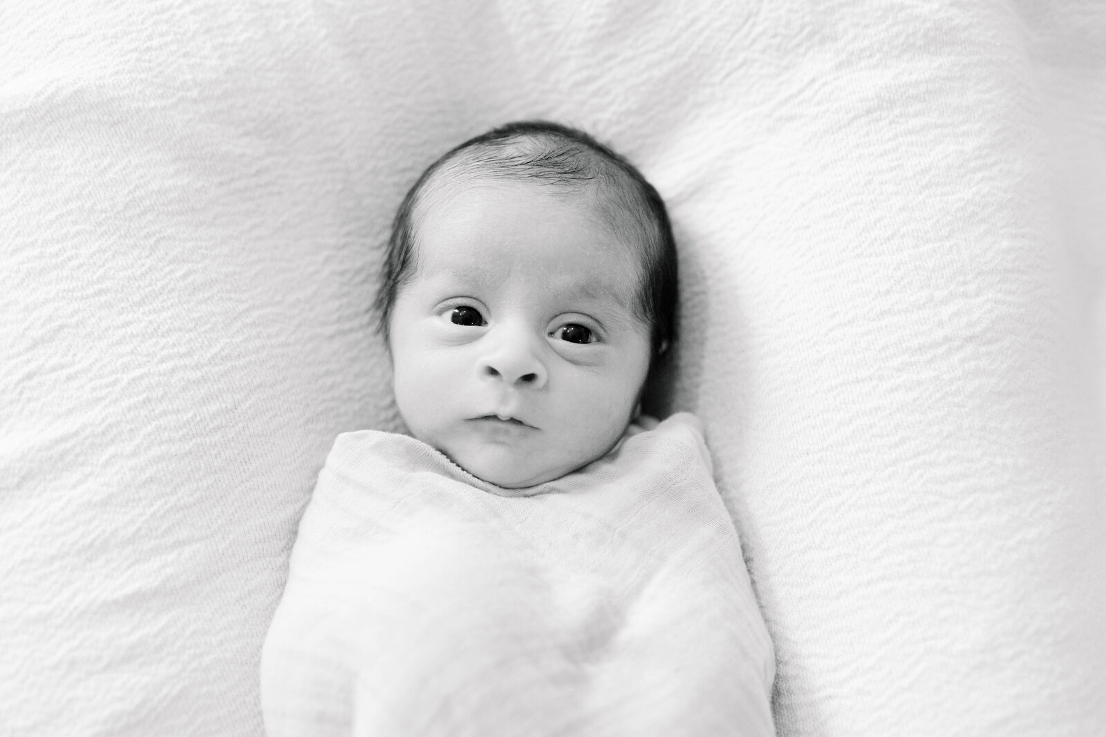 4990in-home-newborn-arcadia