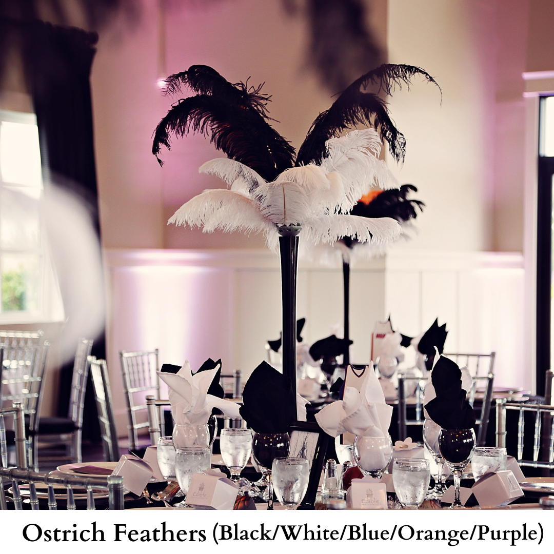 Ostrich Feathers-
