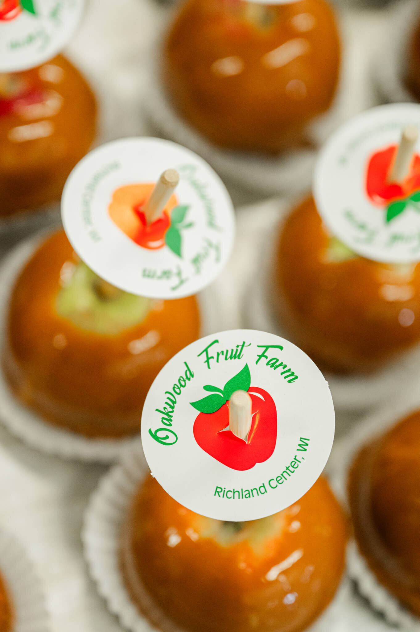 Apple-Cider-Donuts-Richland-Center-Wisconsin-10