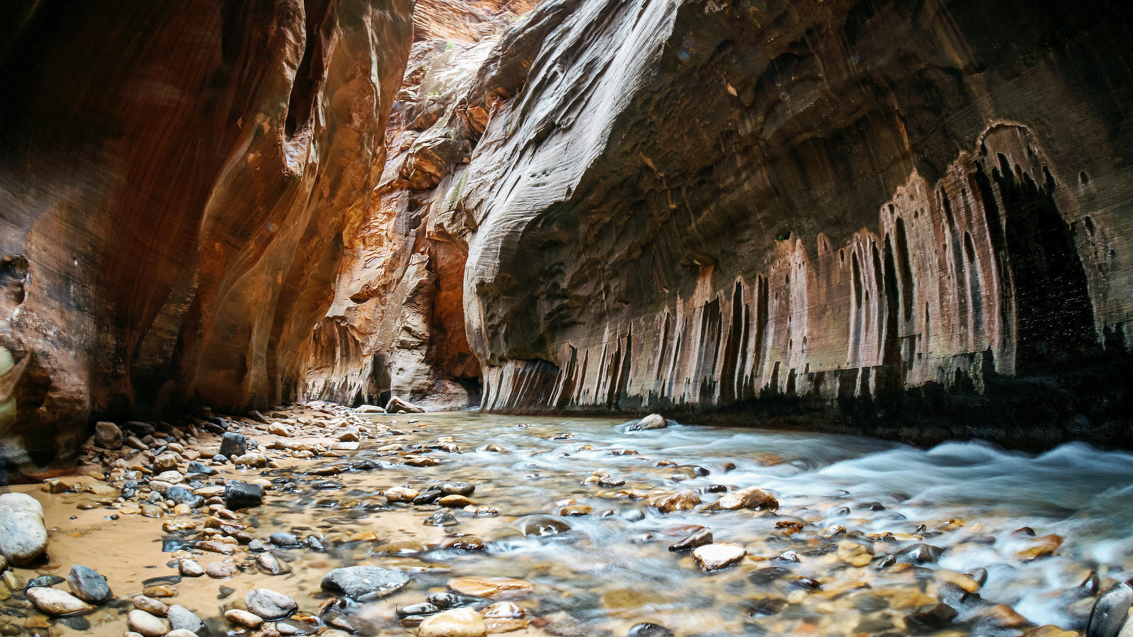 Sasha_Reiko_Photography_Travel_Utah_Arches_Canyon_Lands_Zion_Grand_Canyon-58