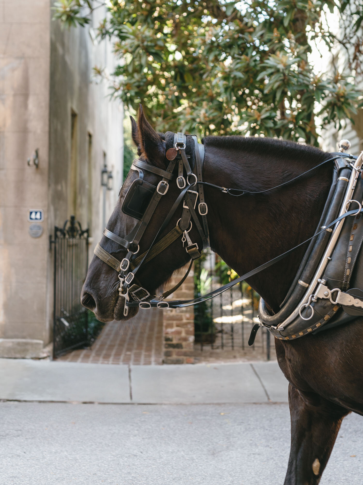 Nell_Gray_Preview-0017