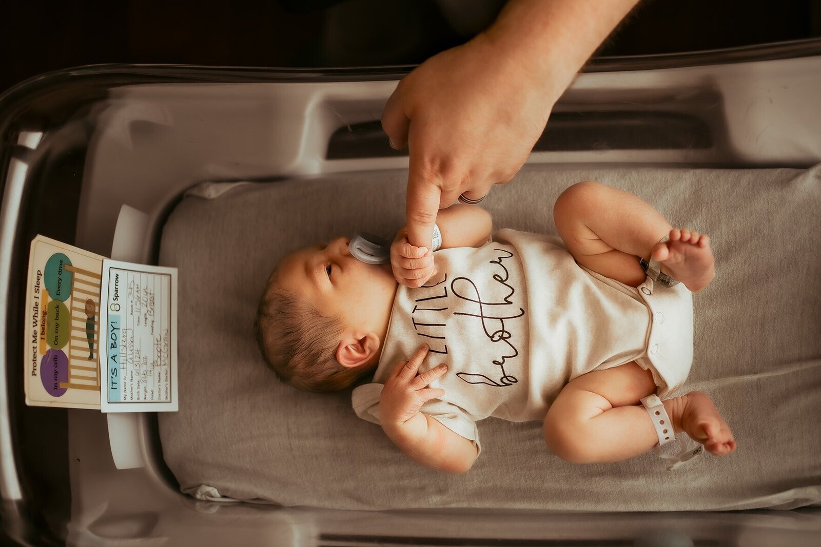 Lansing family photographer 002