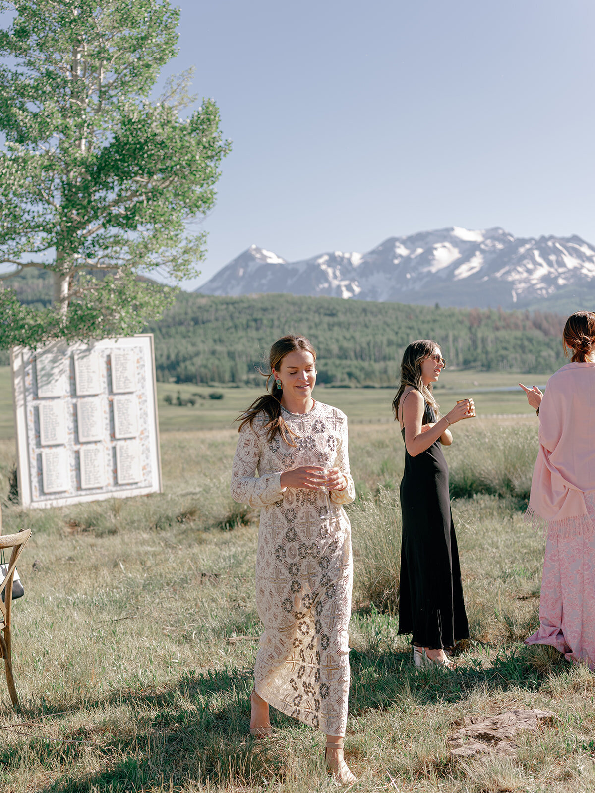 Telluride Wedding Photographer-Wedding--2031