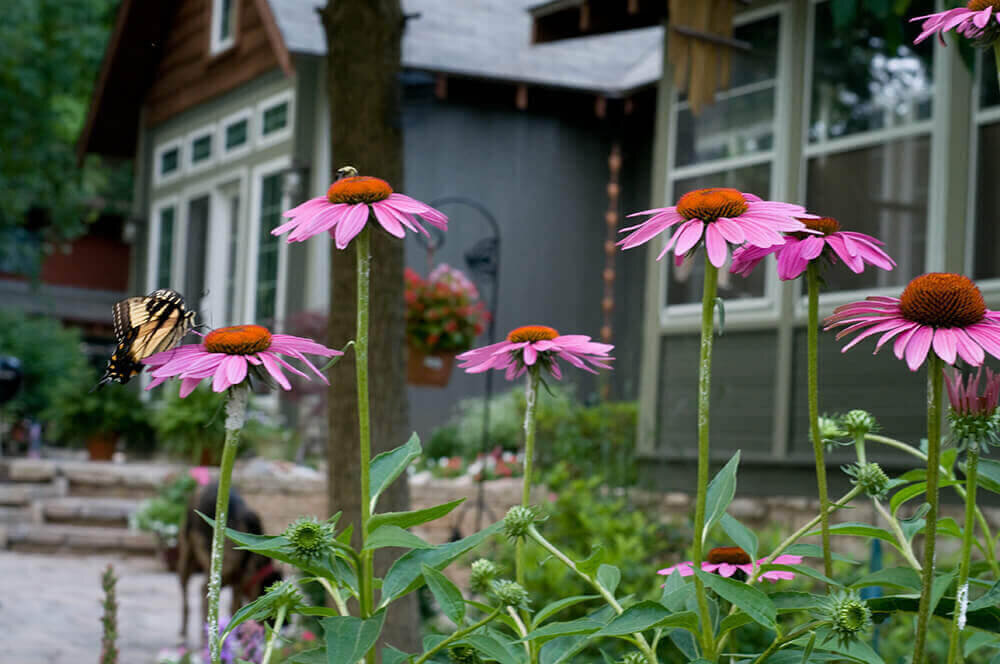 Landscape company project