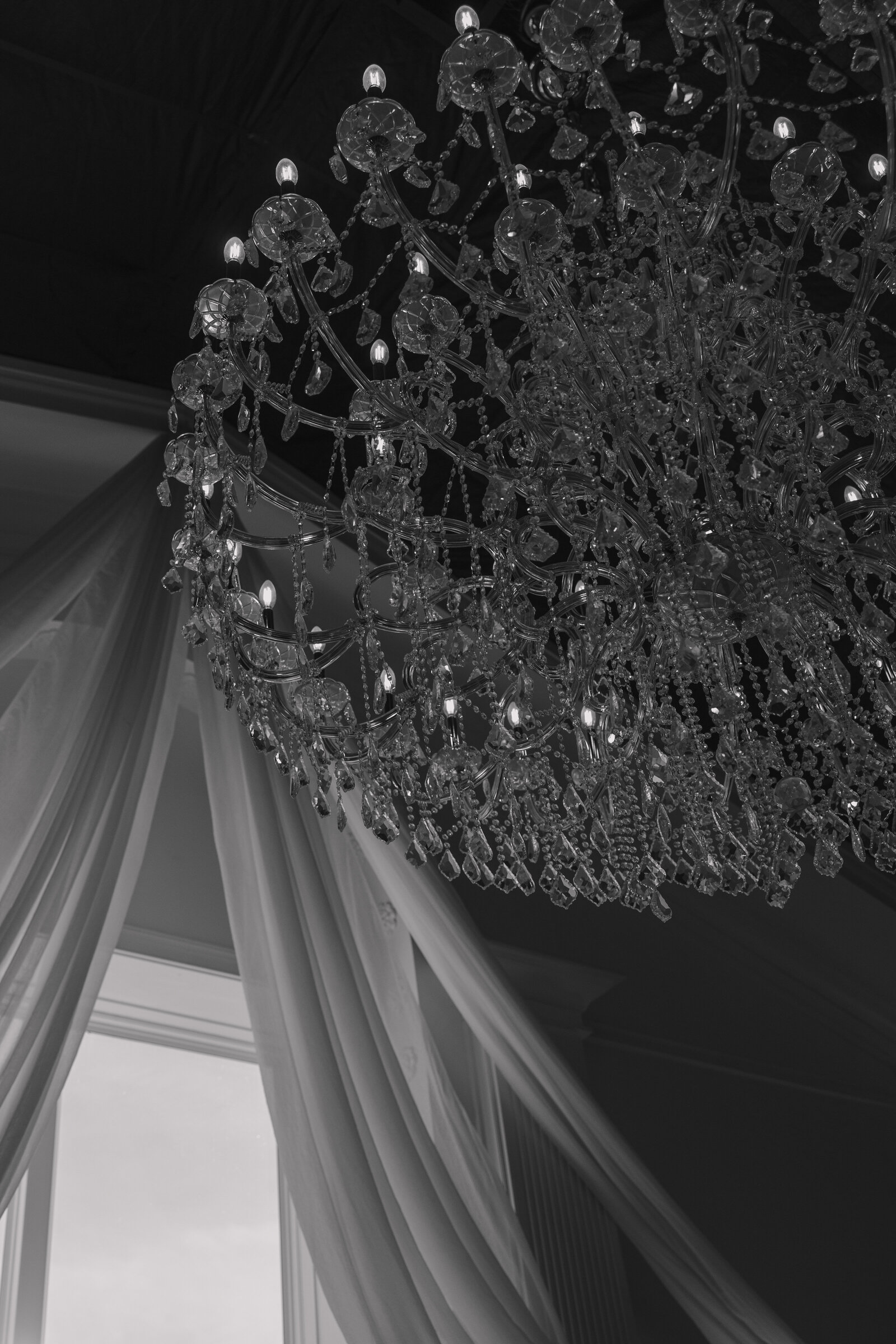 oliviarodriguezphotos-391