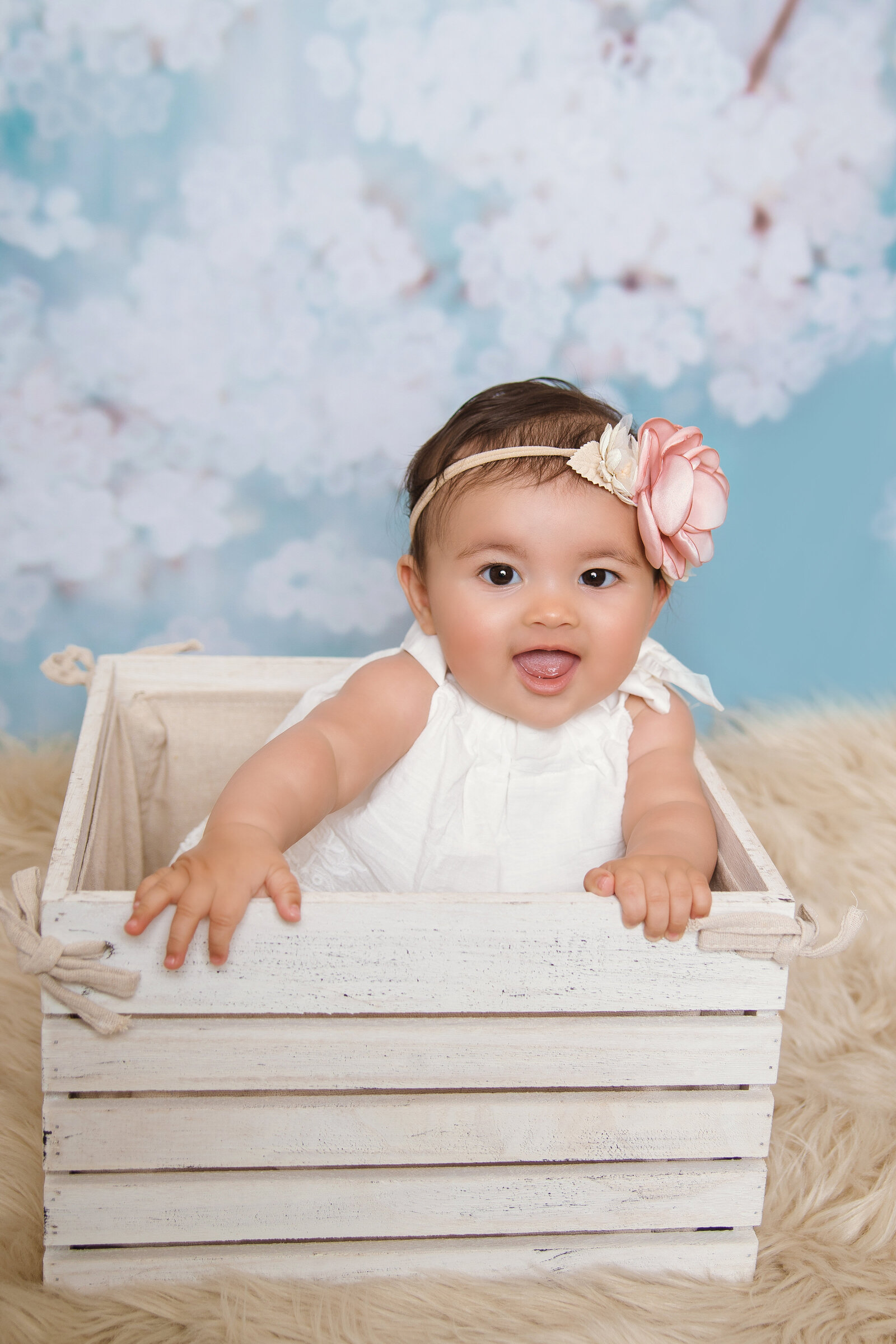 Milestone Photographer, a baby sits in a wooden crate on top of hay