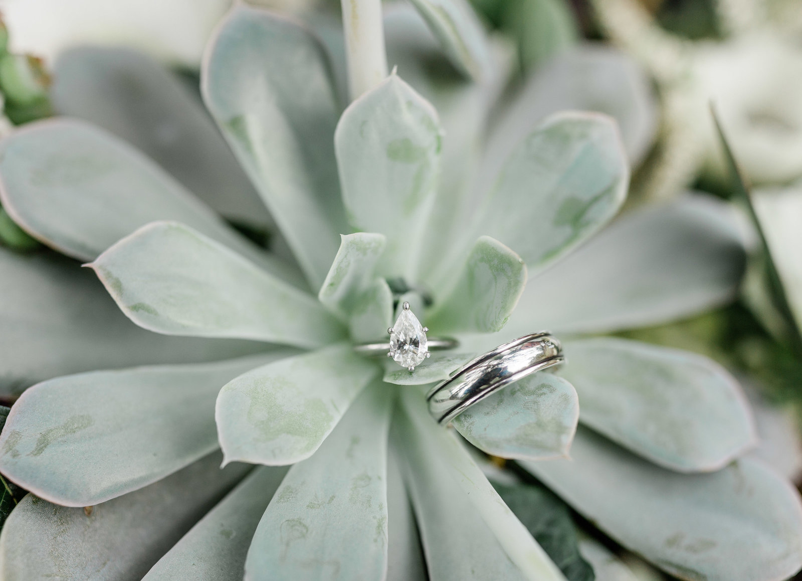 Todd and Ashleigh-1201-2