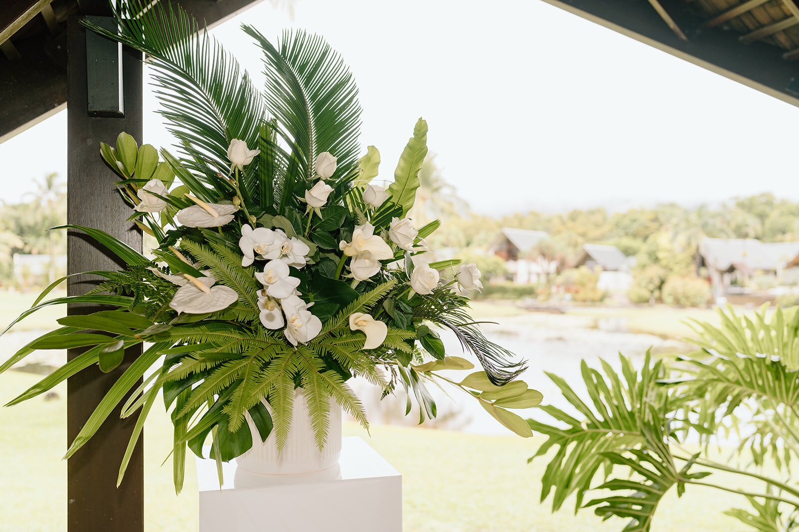 Lia&Travis-Coast&Pines-214