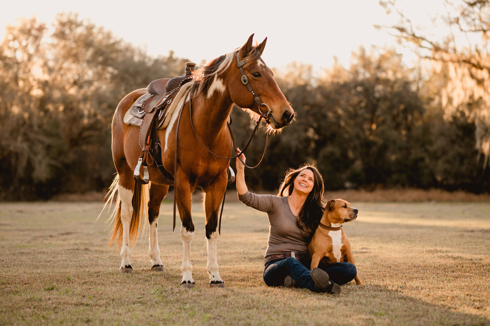Tallahassee and surrounding area horse and dog photographer.