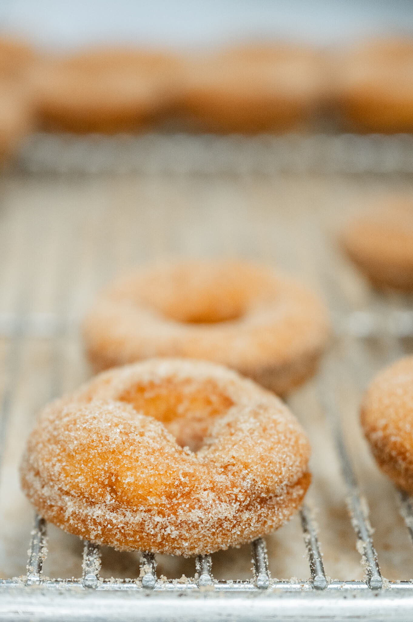 Apple-Cider-Donuts-Richland-Center-Wisconsin-1
