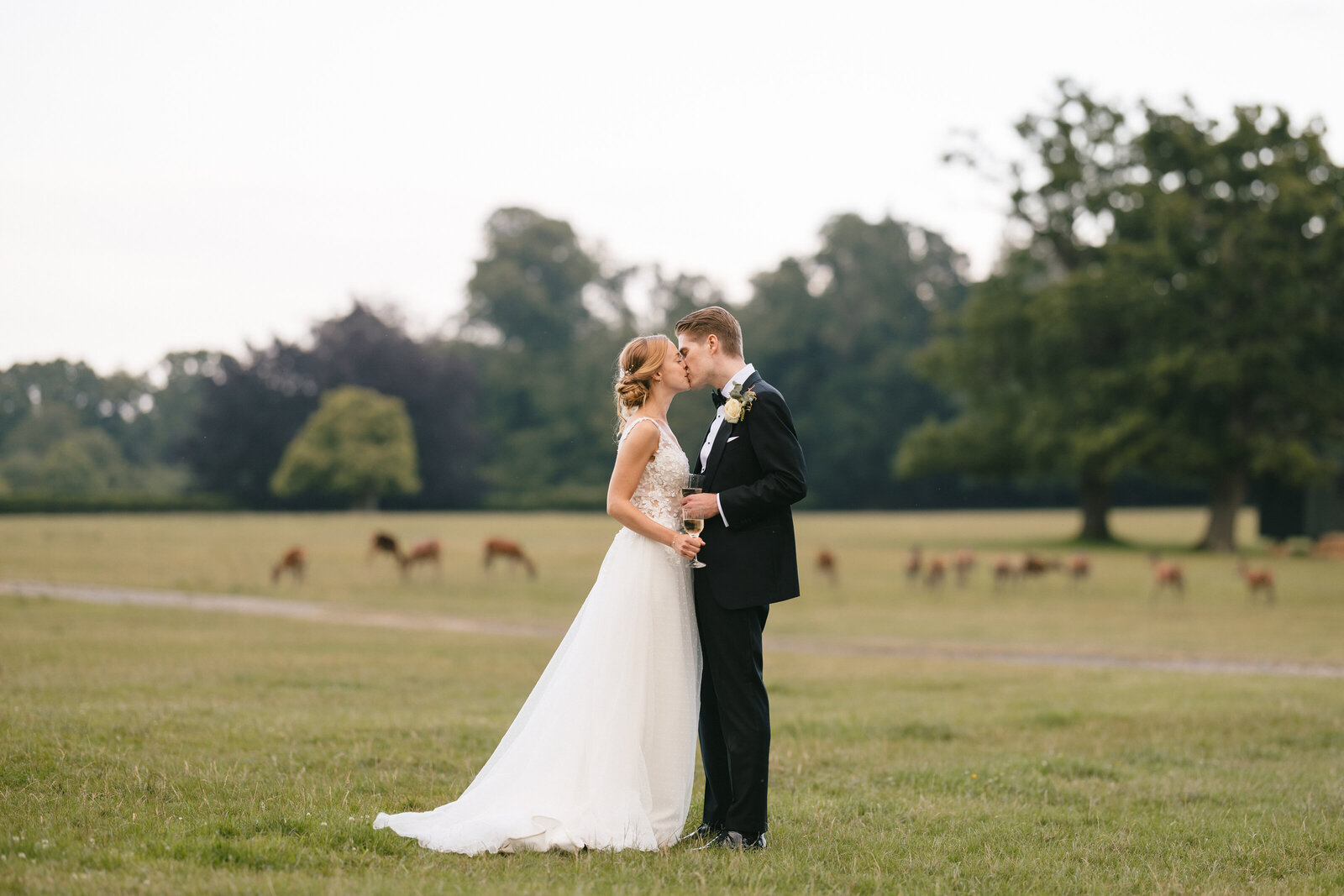 New Forest Wedding Gerhard & Hattie-640