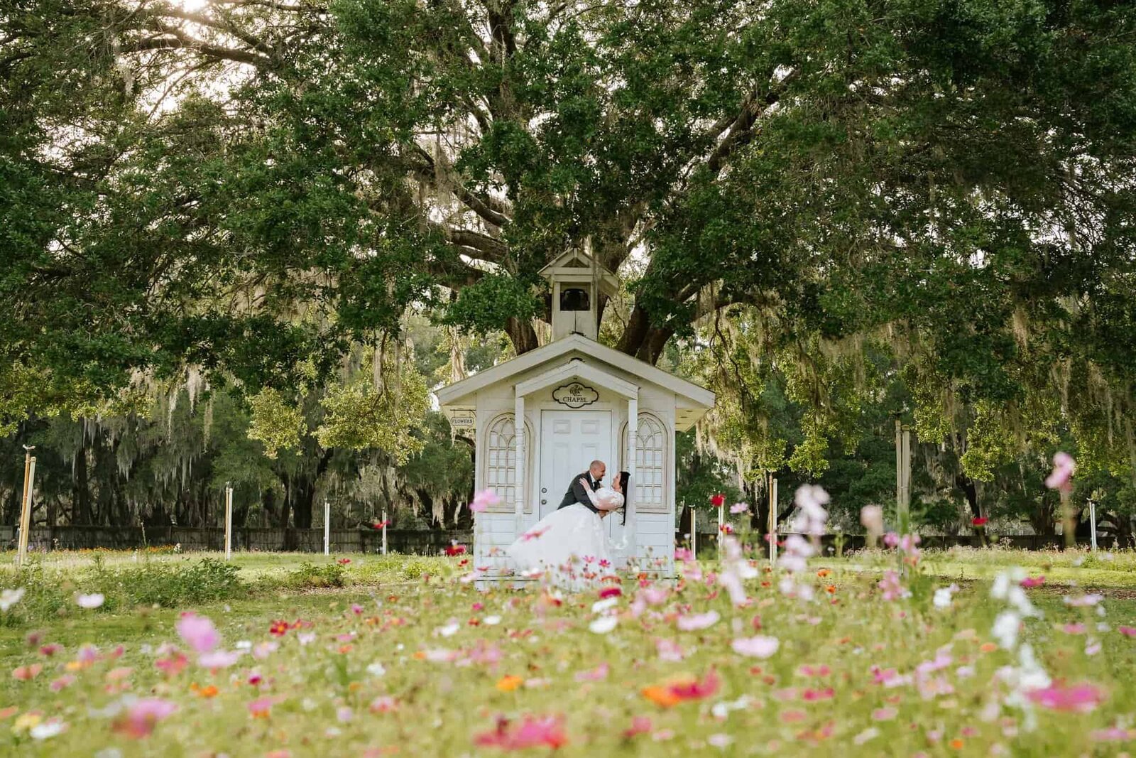 ever-after-farms-flower-barn-wedding-venue-lakeland-wedding-photographers - Lakeland Eddding Photographer - Visual Arts Wedding Photography-16_1