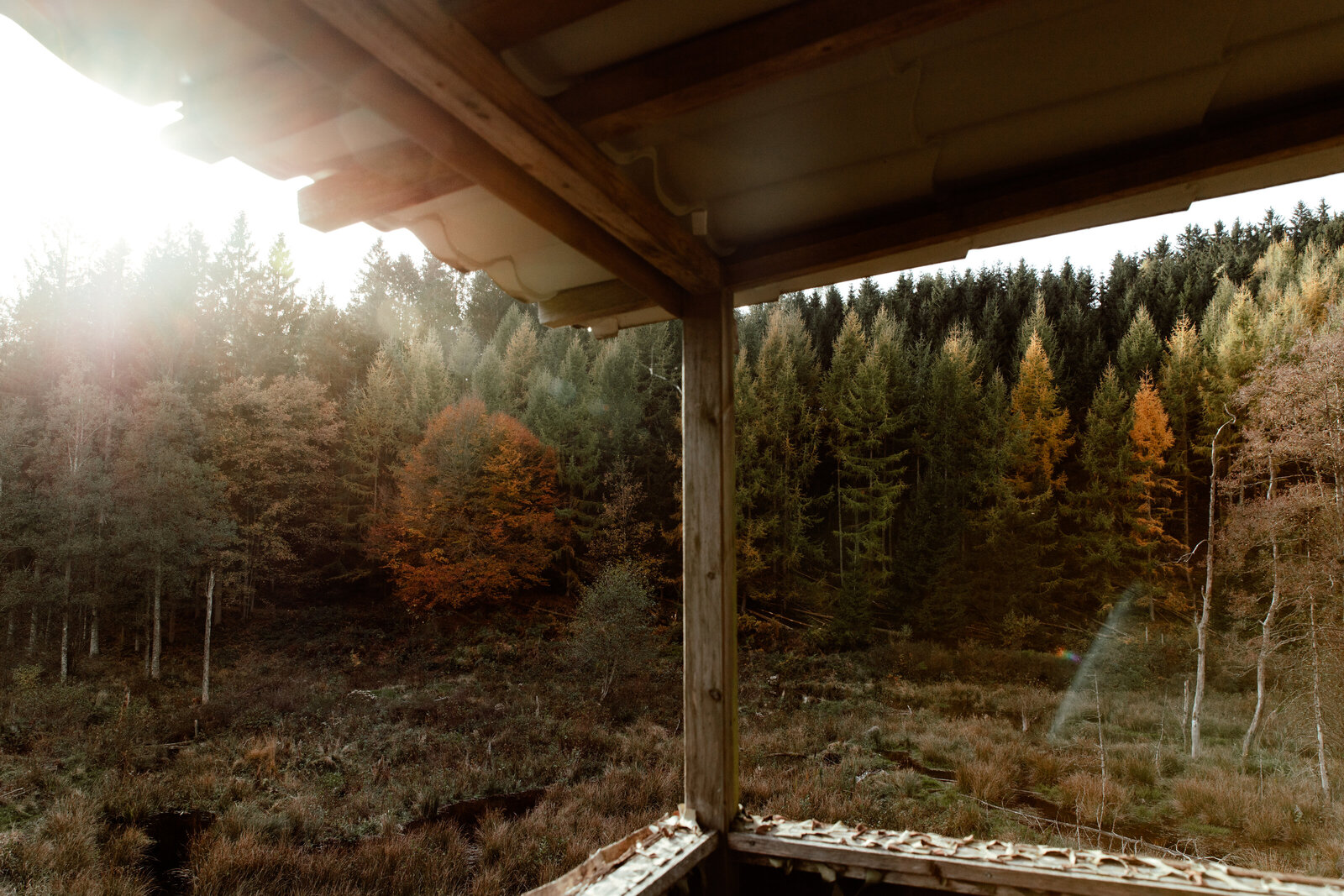 JolijnGommansPhotography_WilderlandsoftheArdennes_okt2025-22