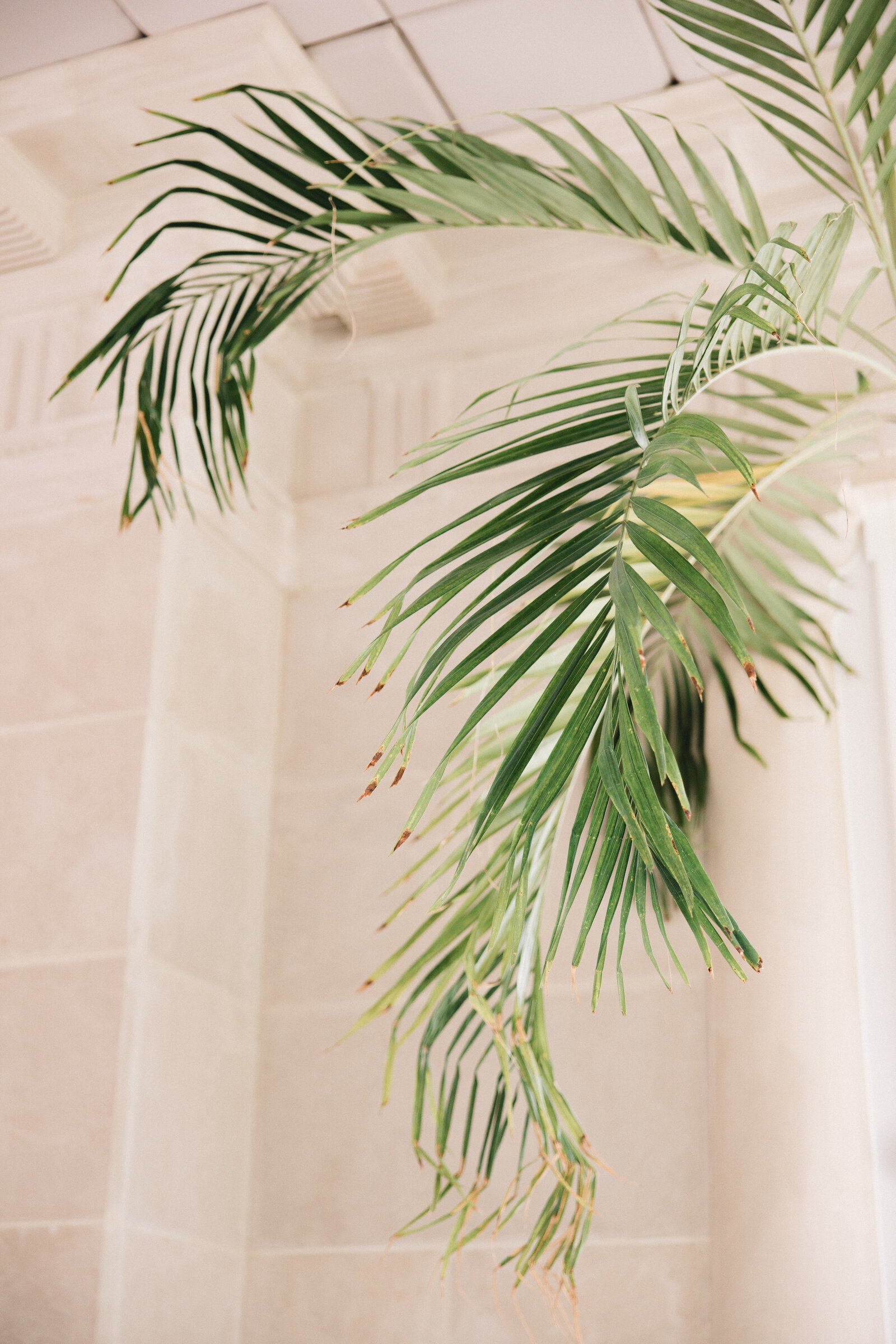 HarlowWedding_5C5A7937