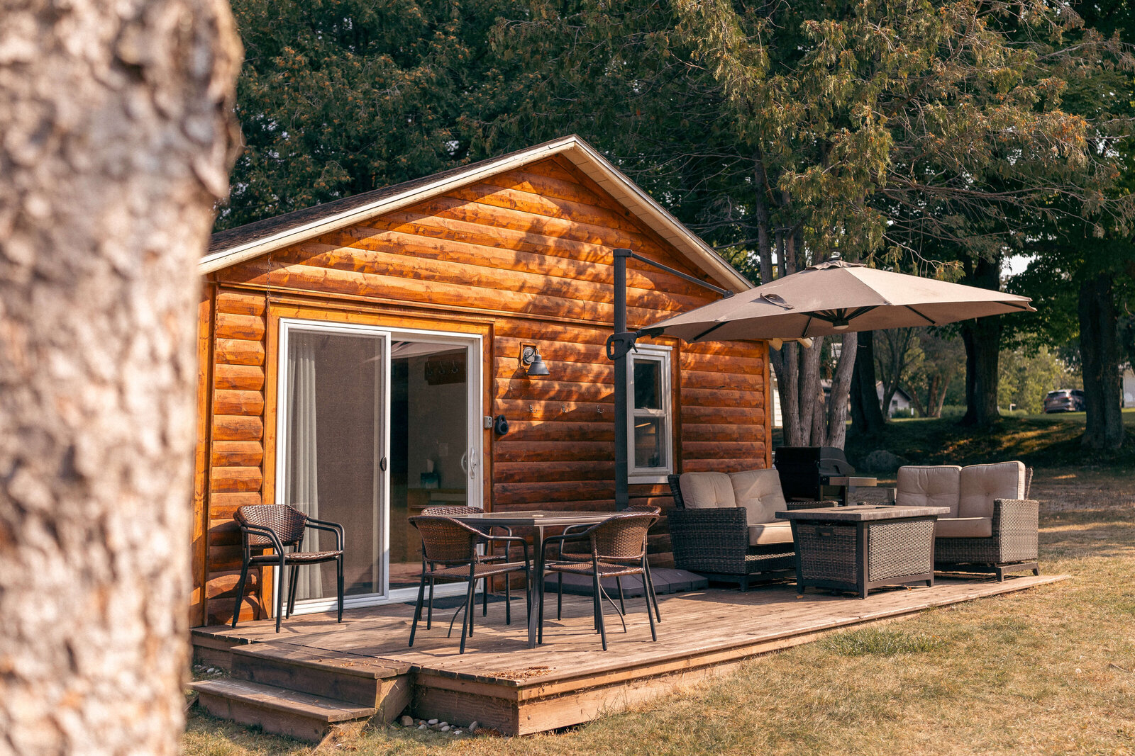 Cedar Cabin Northern Michigan 2025 30