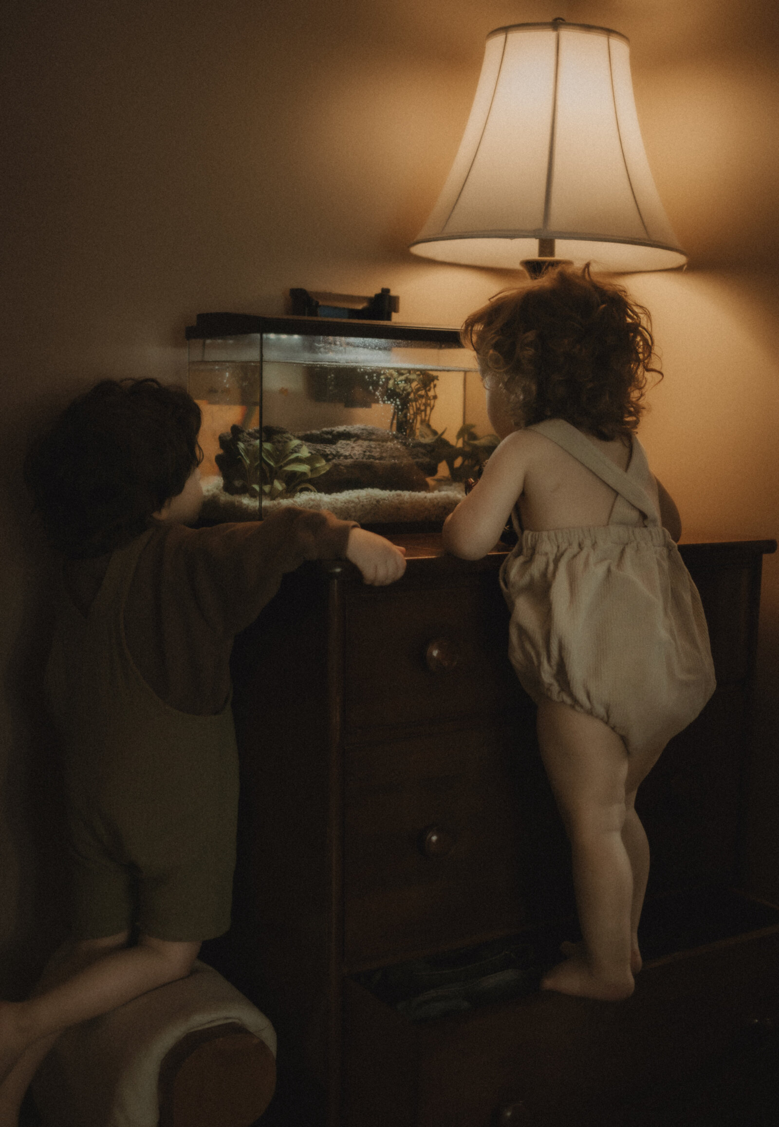 097A2477-Edit-Edit