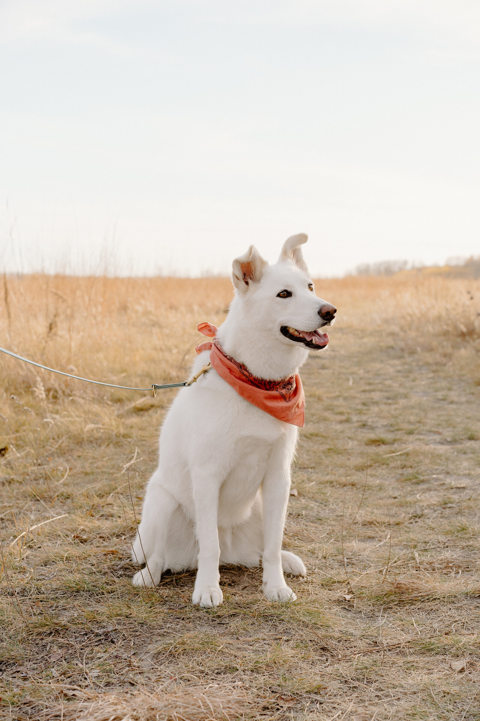 Cali+Brett-EngagementSession-BrookeMosPhotography-07393