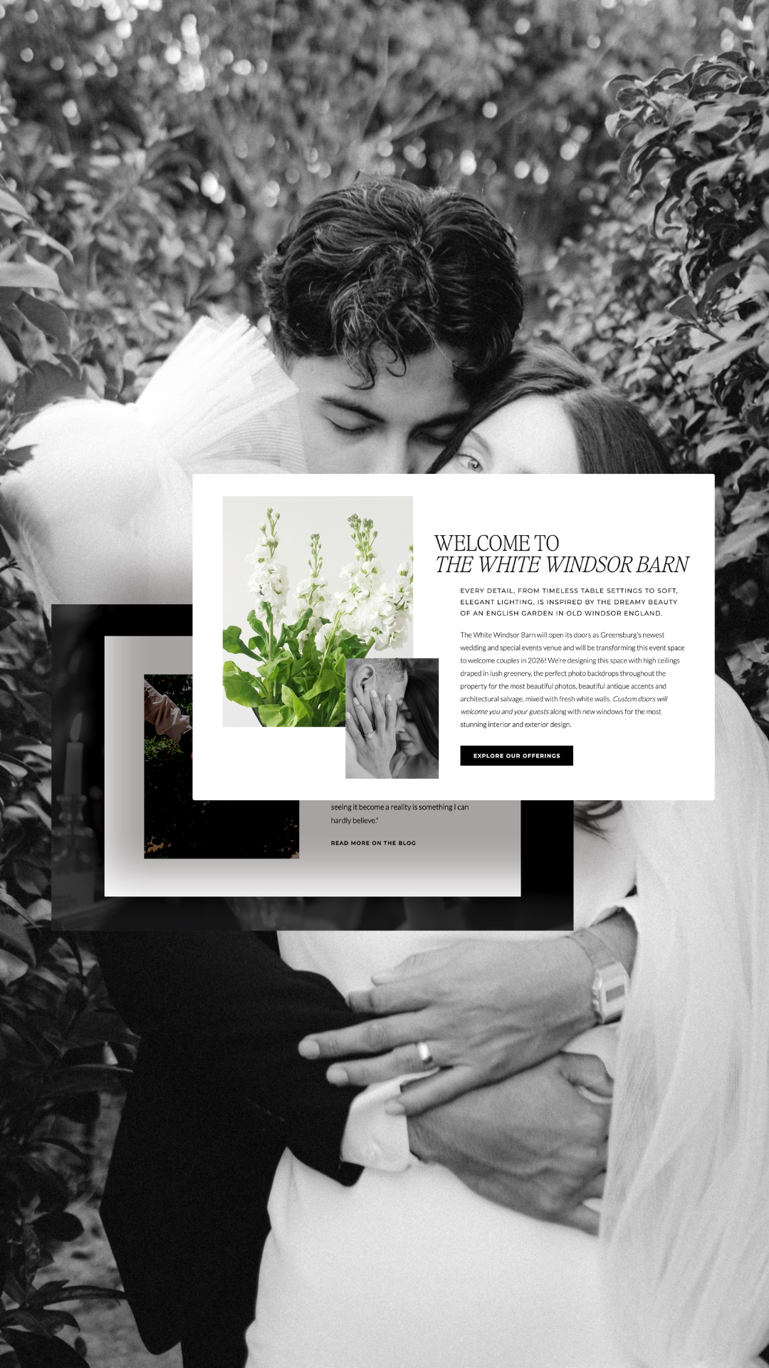 Untitled design (6)