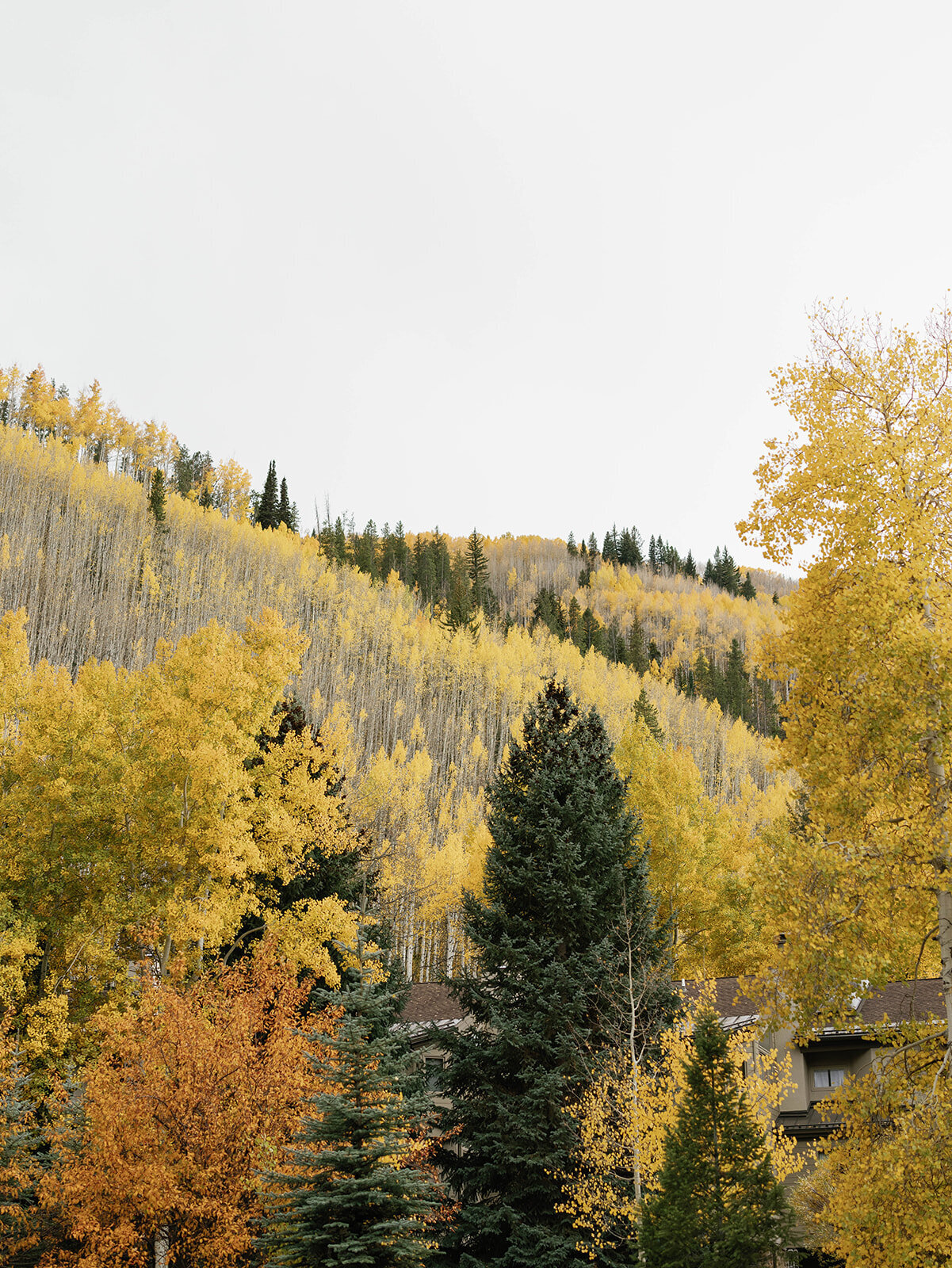 reilly-erin-photography-natalie-bryson-engagement-14