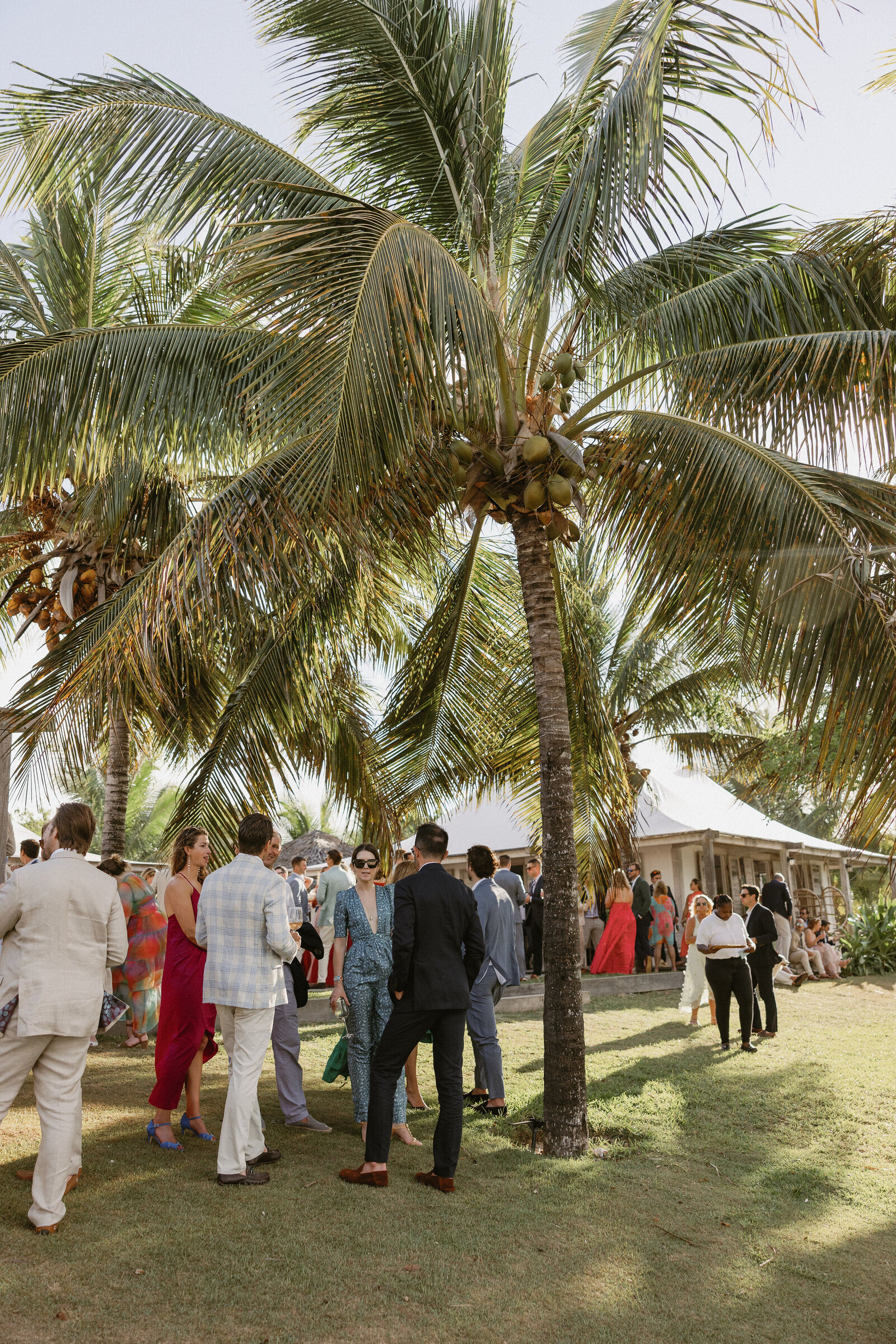 Wedding guests in stylish attire standing under palm tree during cocktail hour in the Bahamas 