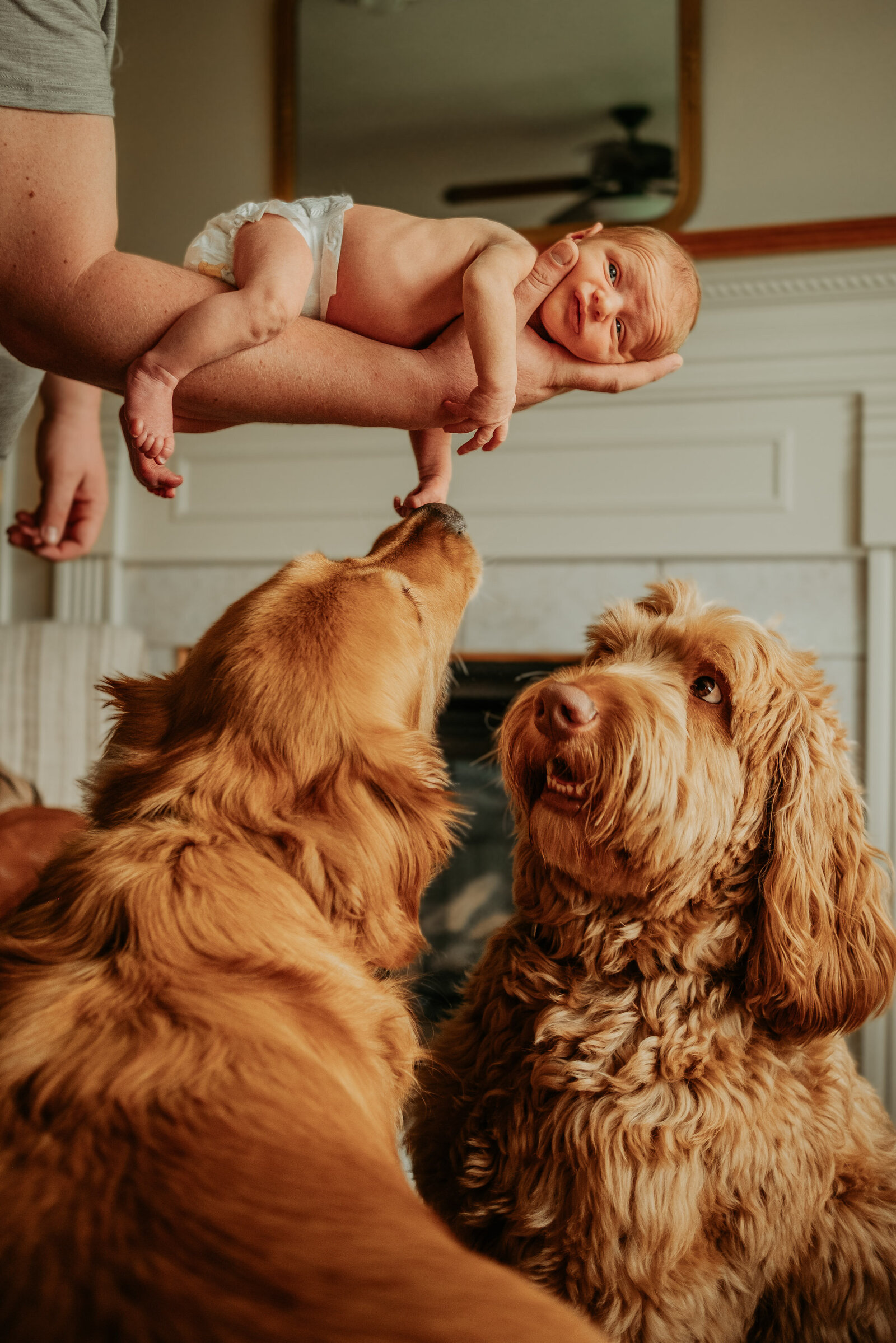 newborn-photography-effingham-illinois-alex-hoedebecke-1