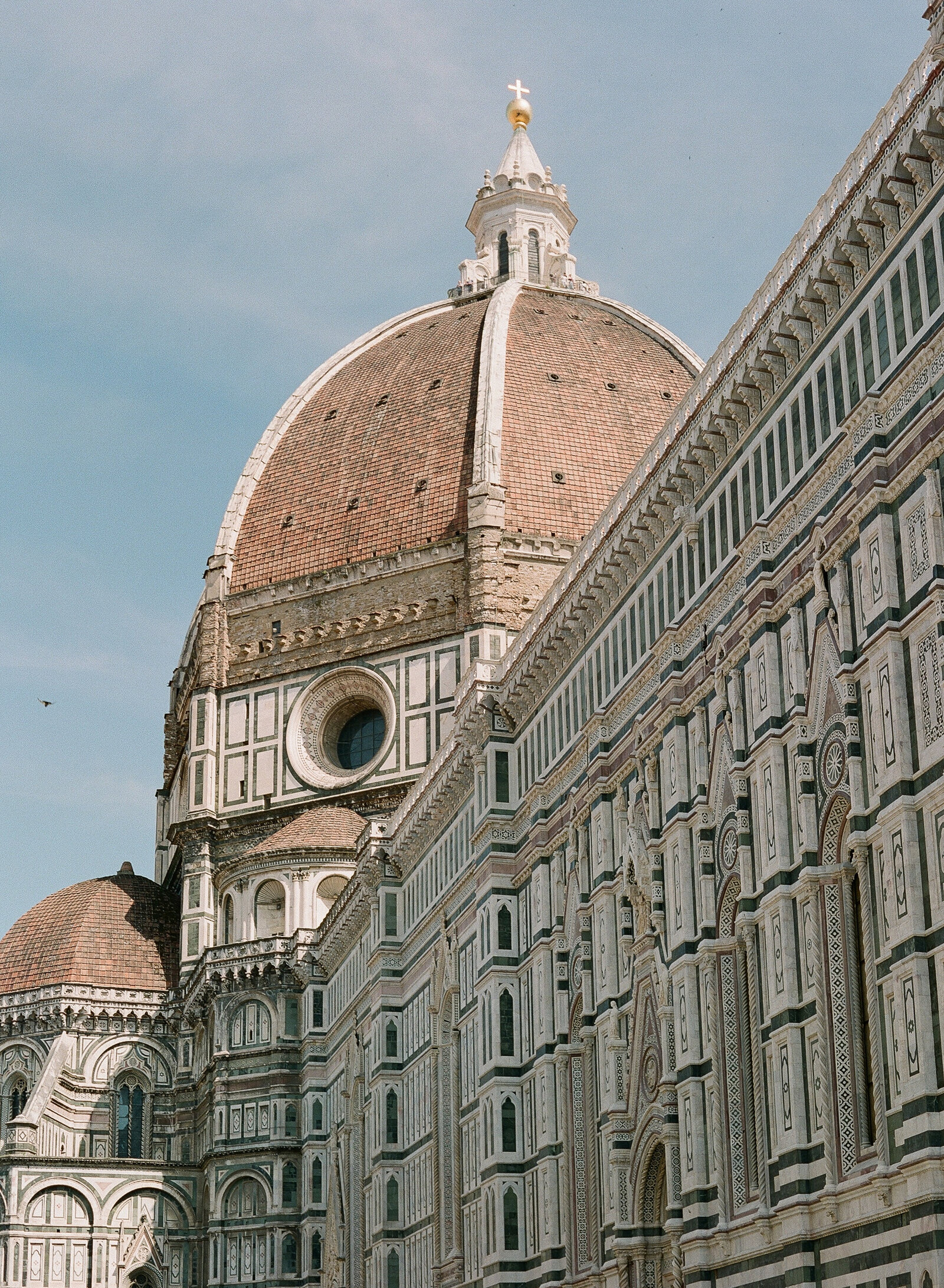 Italy_Florence_09627702_0010©HilaryBlock