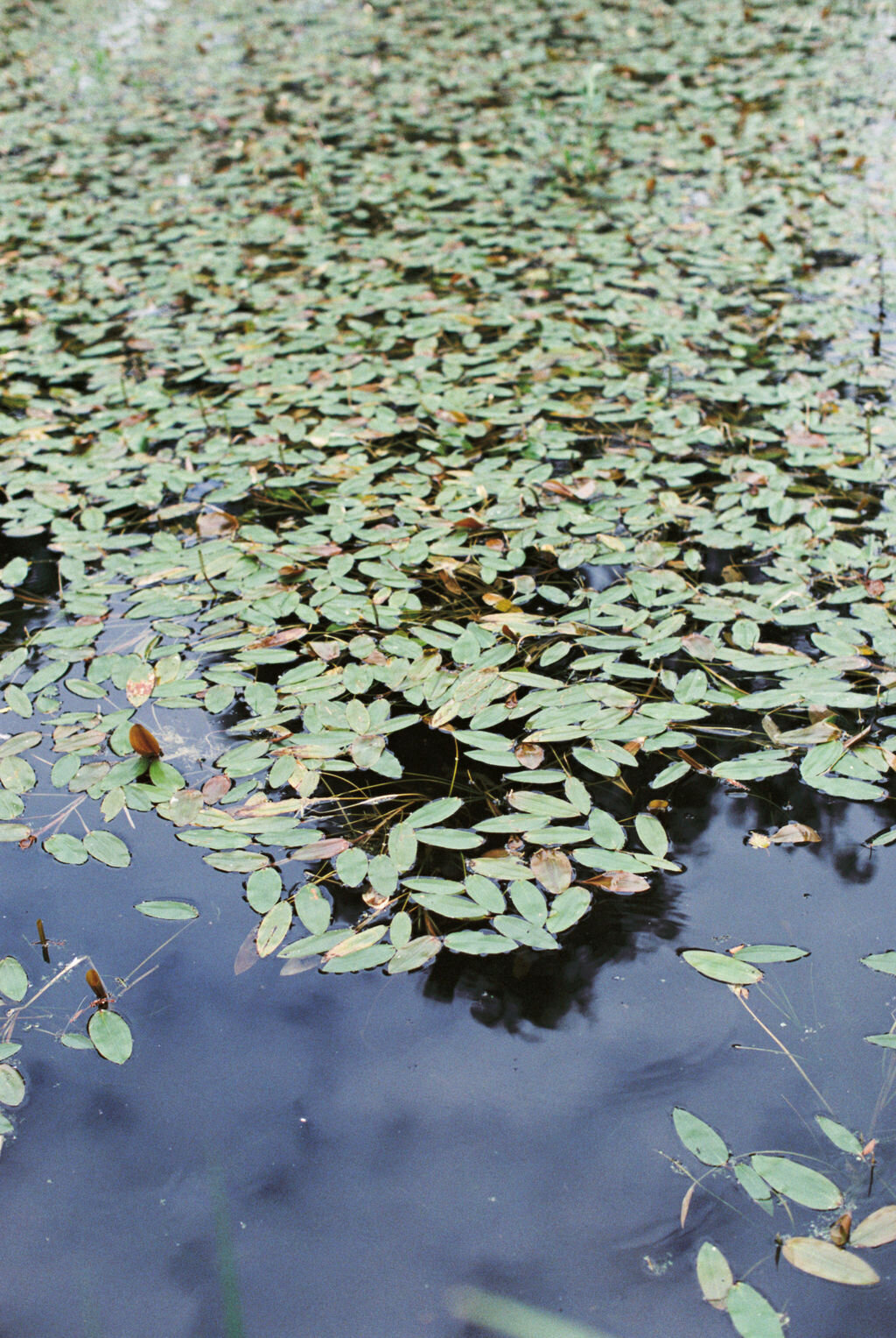 Writer&BelovedPhotography-26