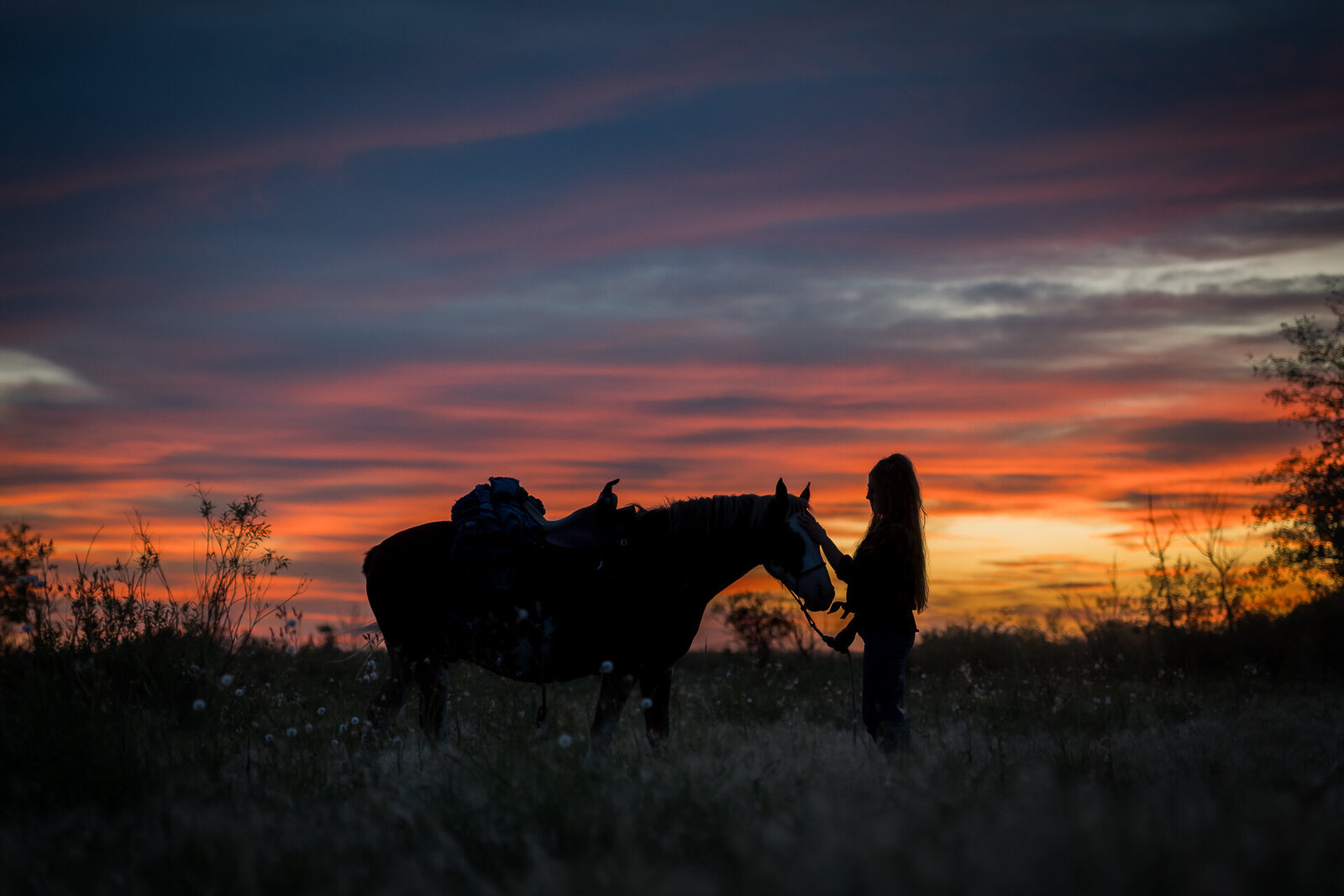 Carla-Lehman-Photography-Tofield-Alberta-Wedding-Photographer-2980