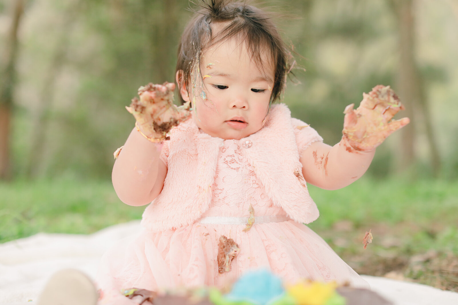 east bay family photographer events events photographer milestone photoshoot