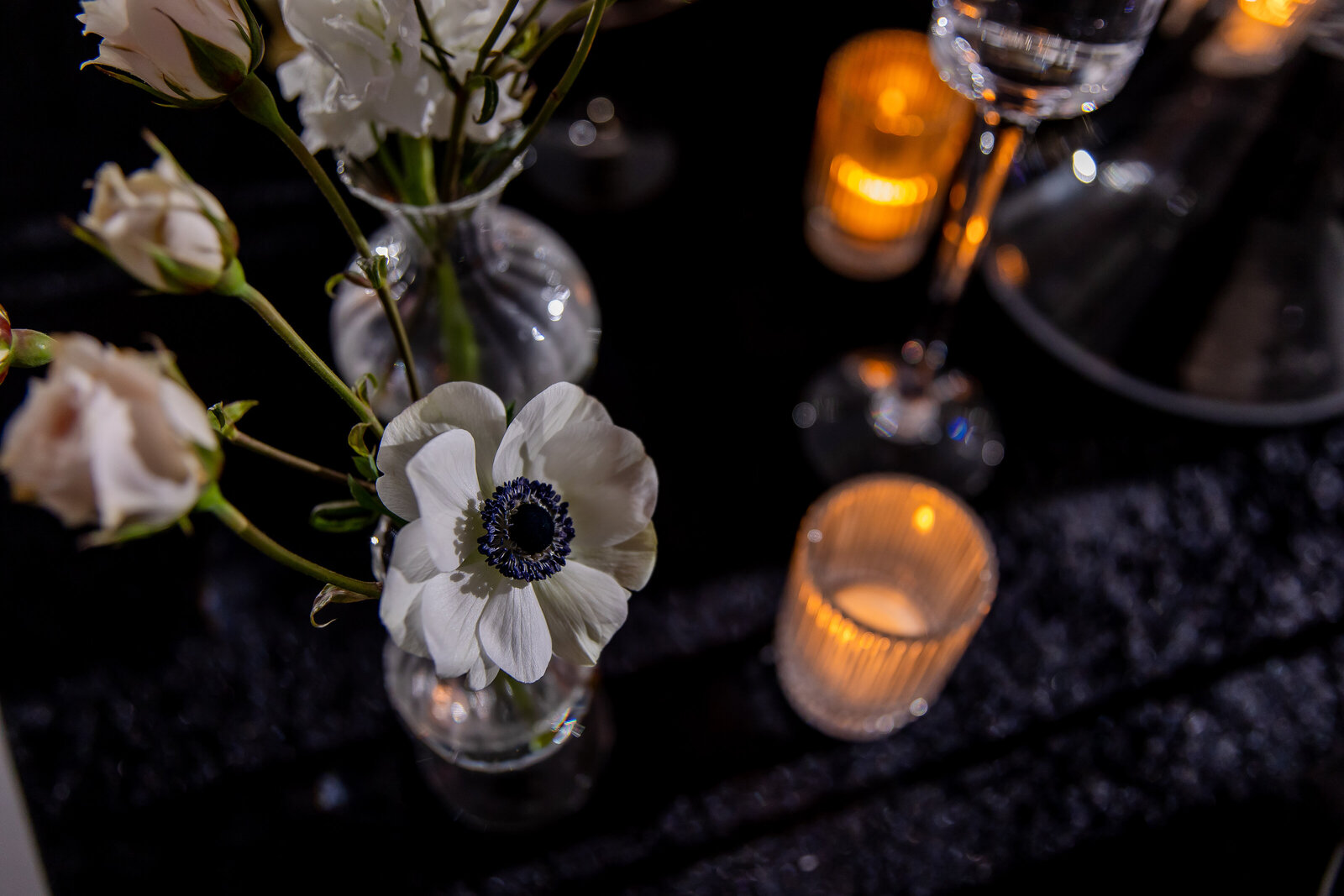 3lindvisionPhotography_-66