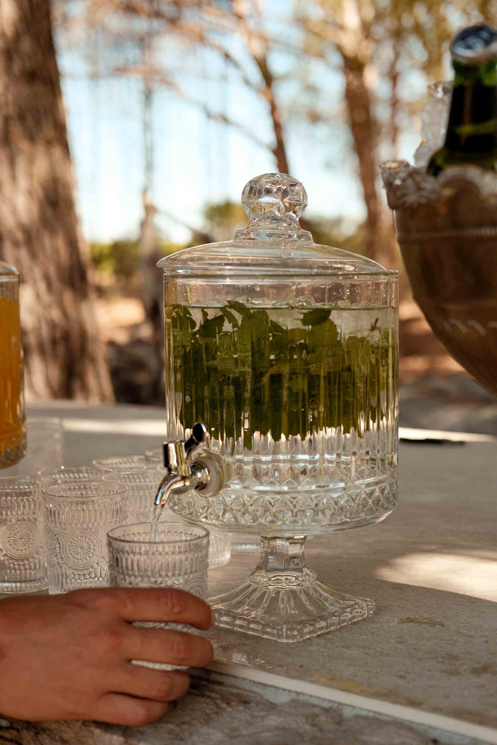 Destination-Wedding-Photographer-Cape-Town-FOMO-Fotografie-101