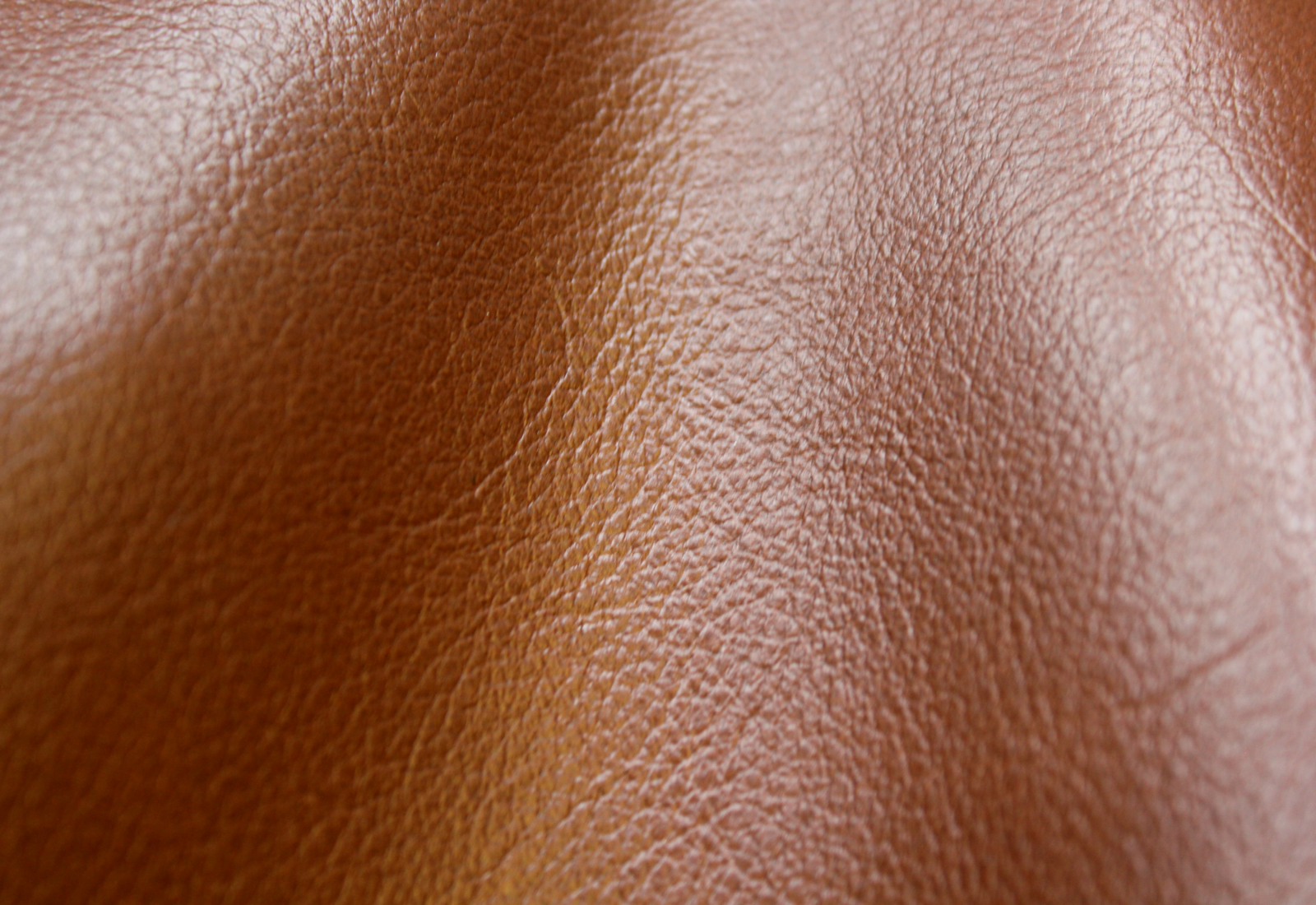 Amadeus Canyon Leather