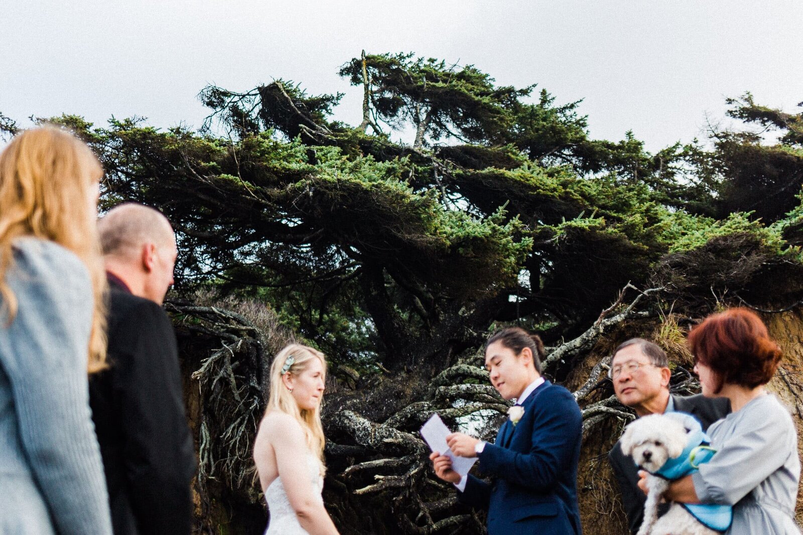 couple reading vows under the tree of life