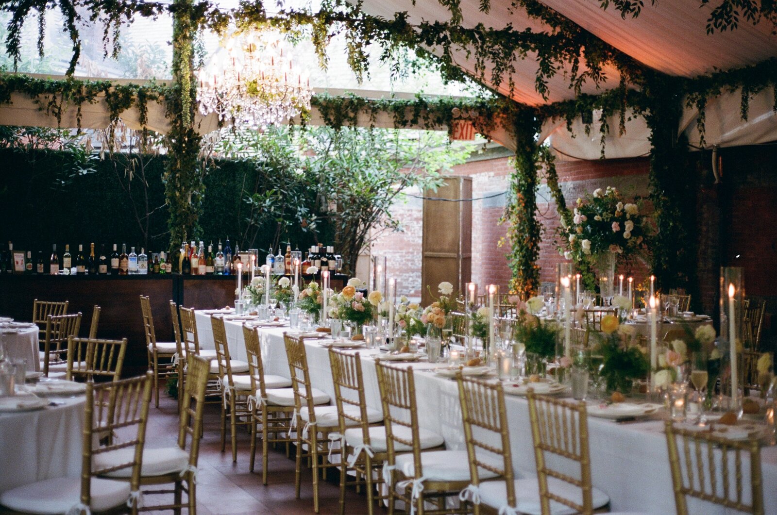 kodak_professional_portra_400_05_06_2025_000389610030