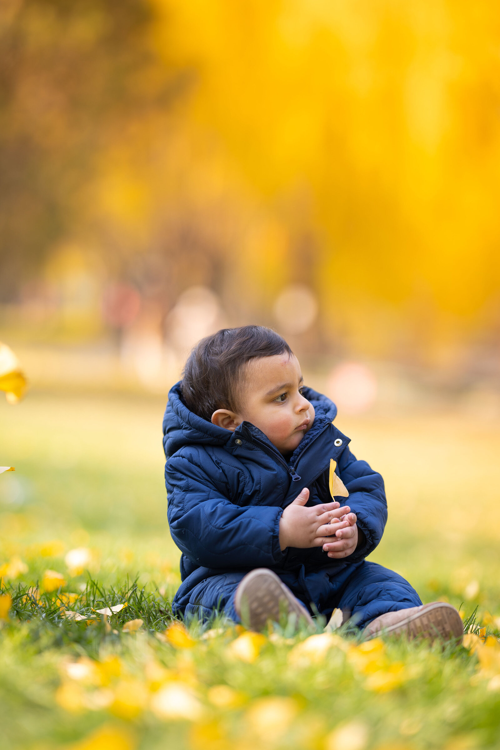 5W4A6839-Enhanced-NR