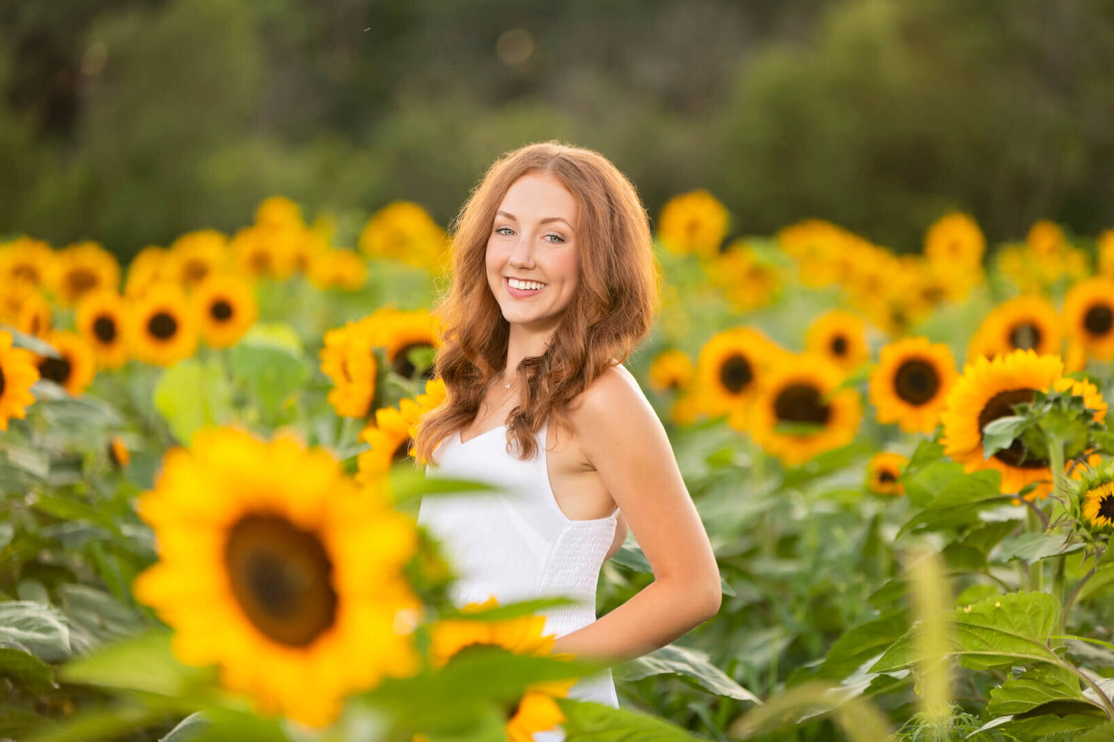 Senior-Pictures-at-Shimon-Sunflower-Farm-in-Slinger-Wi-88