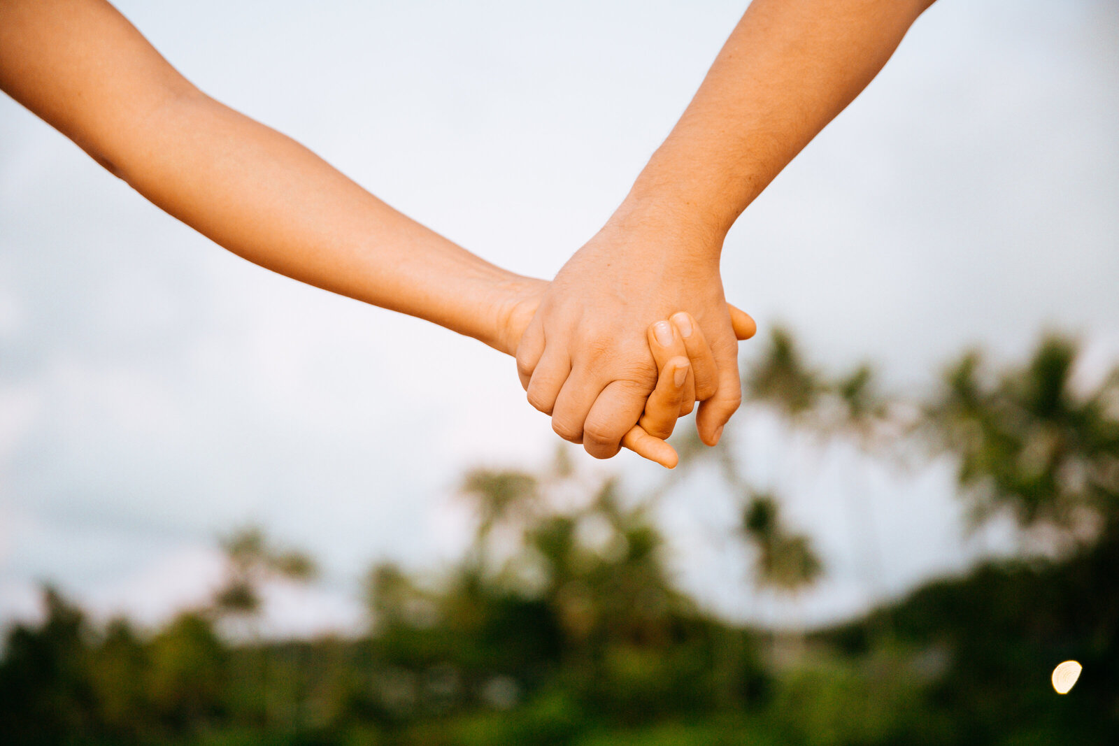 Hawaii Engagement