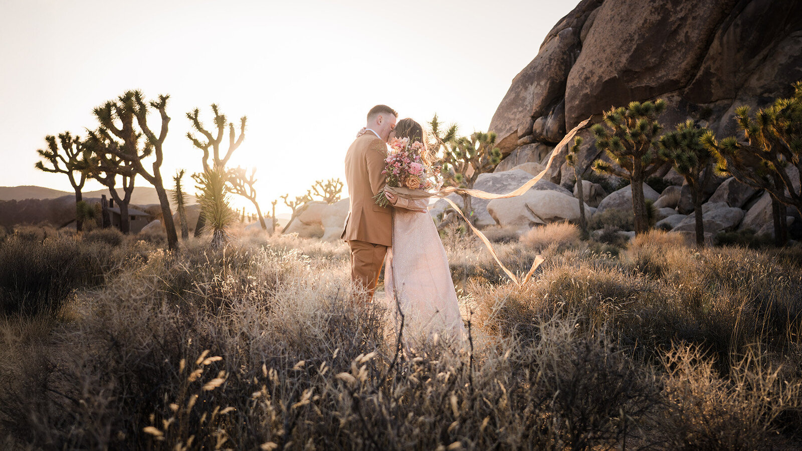 JoshuaTree_190102_0297_PS
