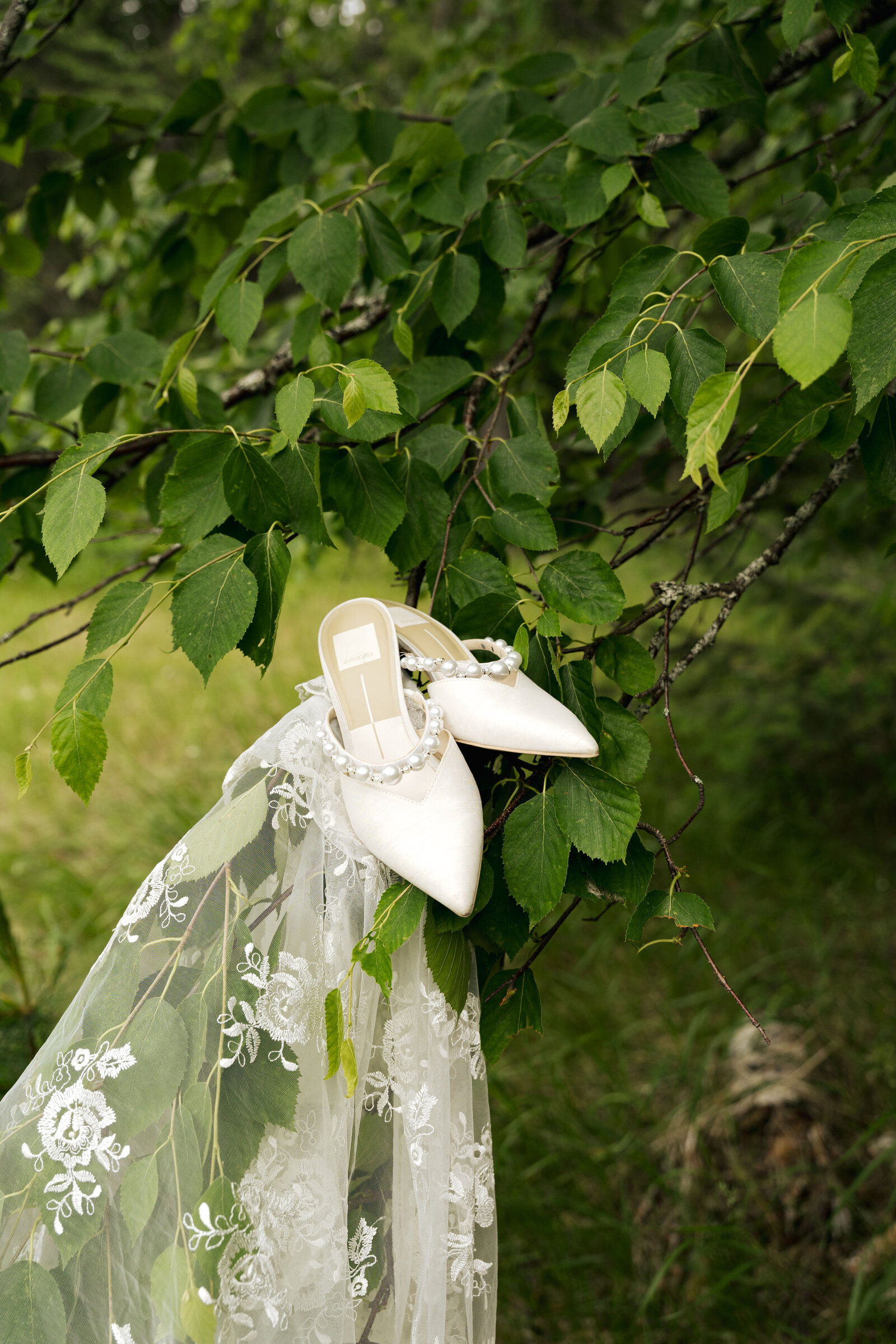 Photos by Kat-03861