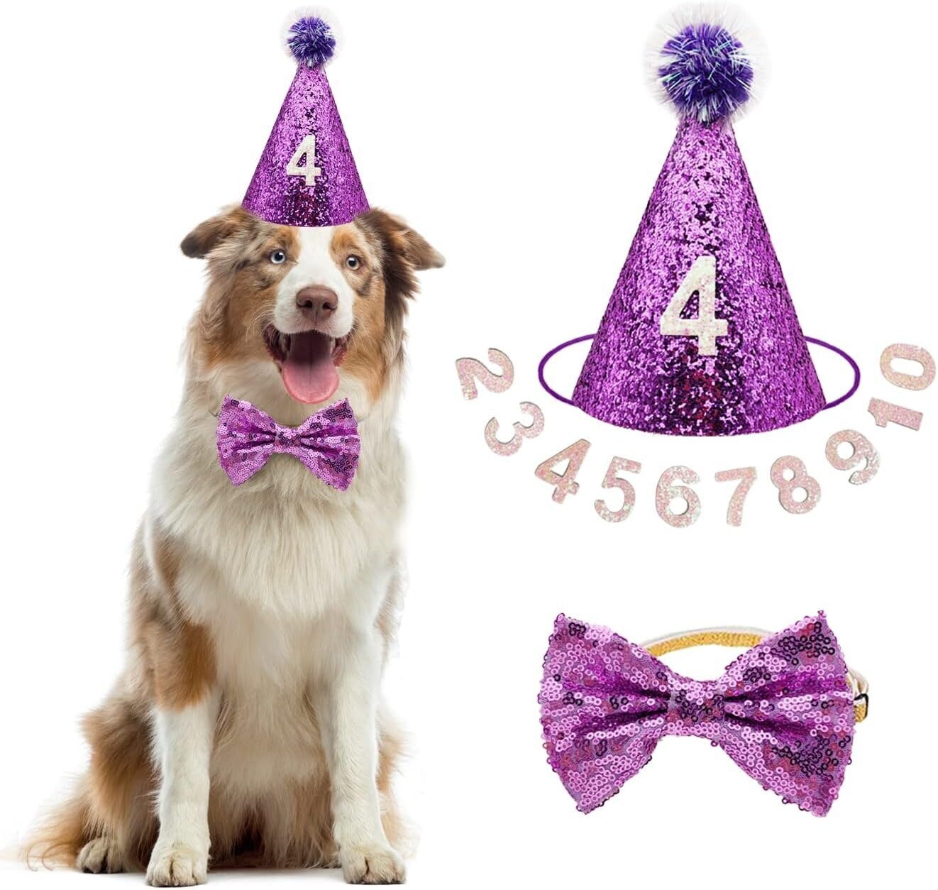Dog Birthday Party Hat
