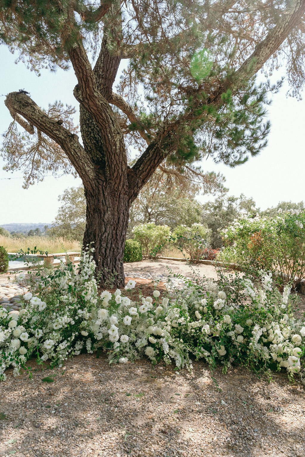 Bush-Wedding-Details-Arianna-Maddox-Photography--45